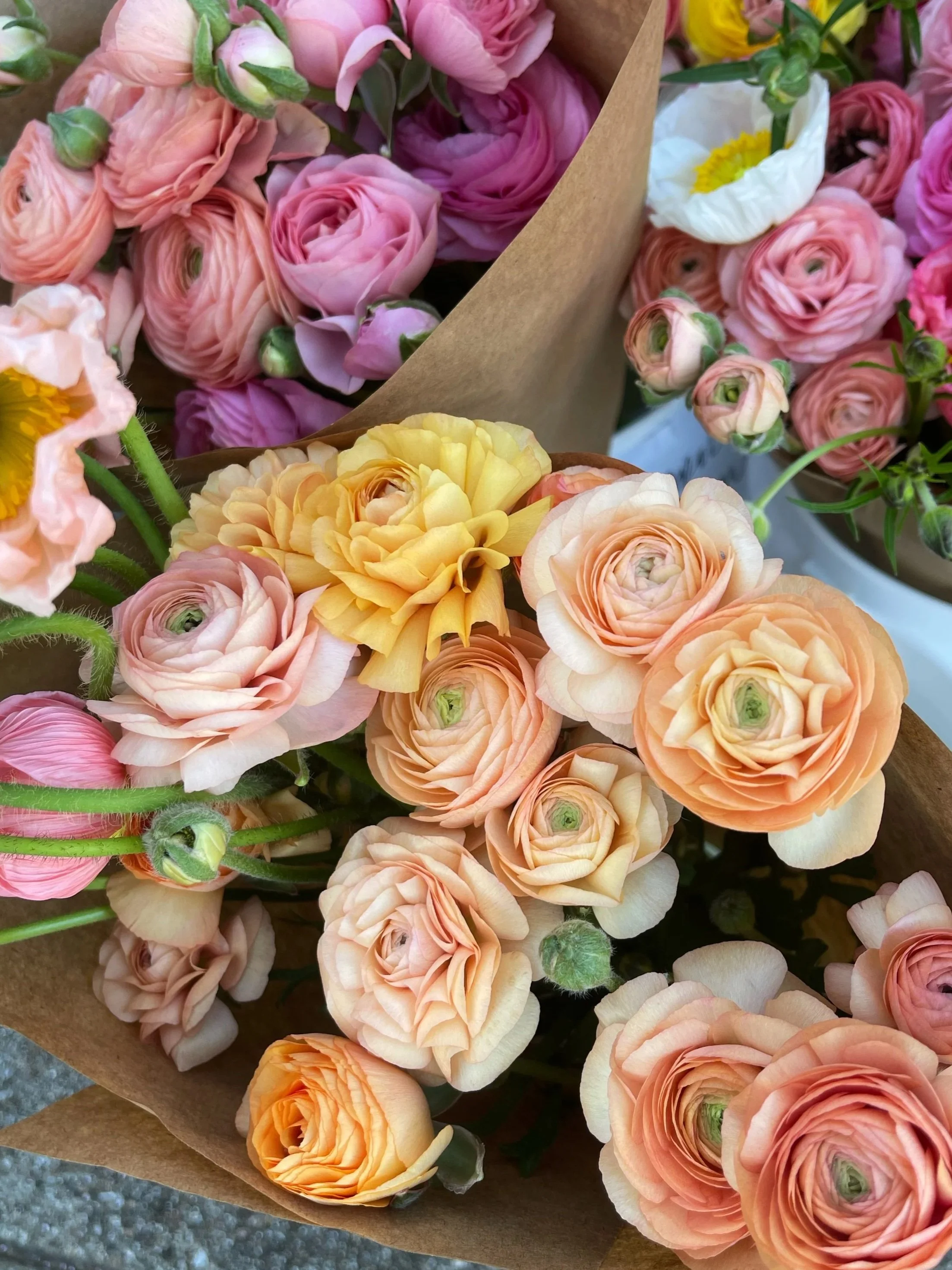 BOUQUET+1.jpg