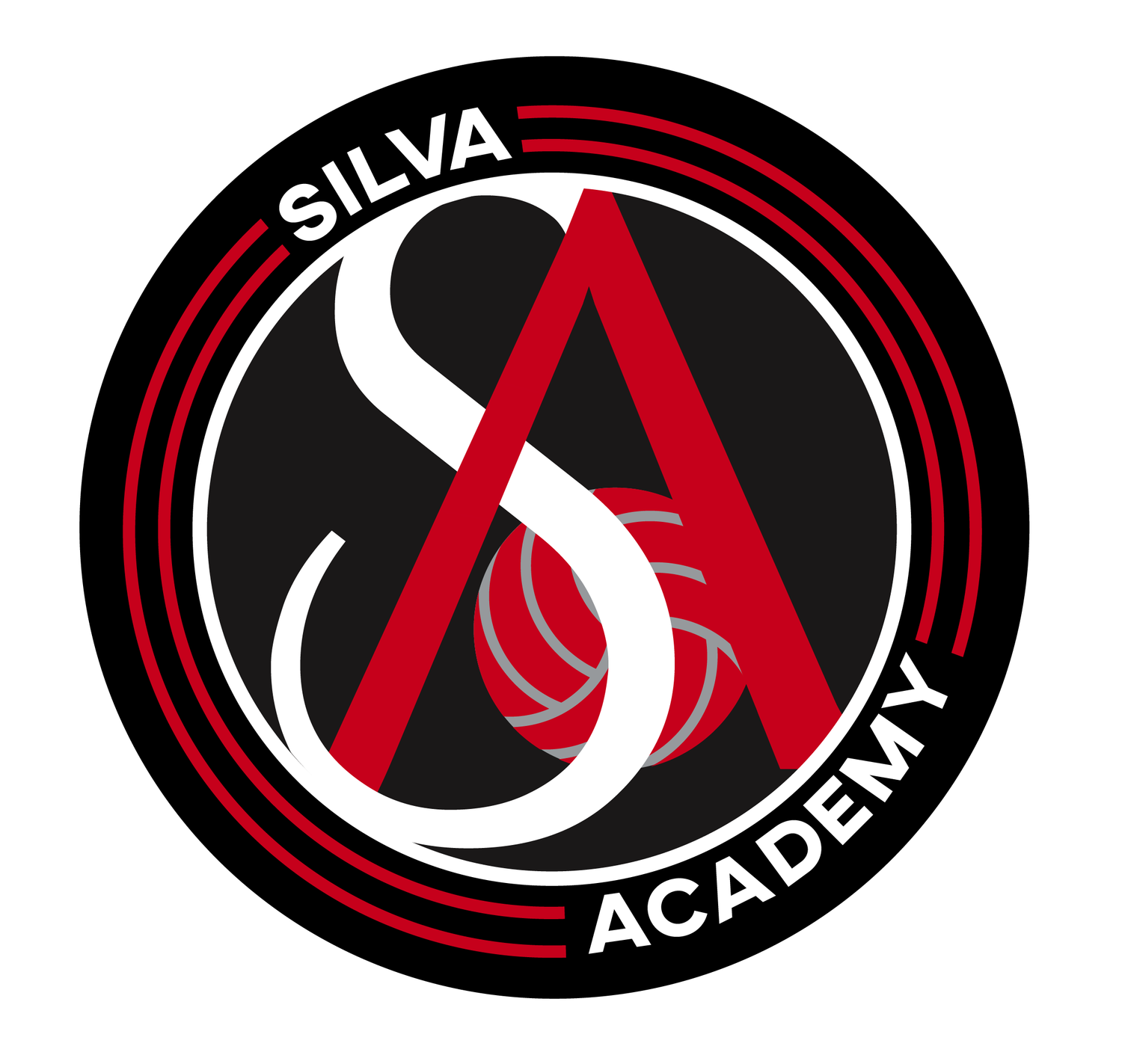 Silva Academy