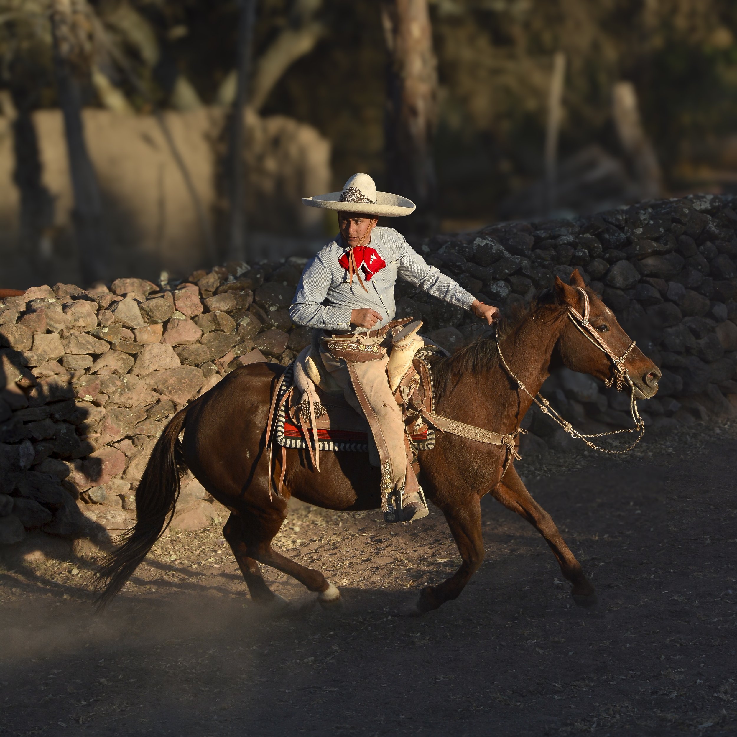 The Lone Horseman