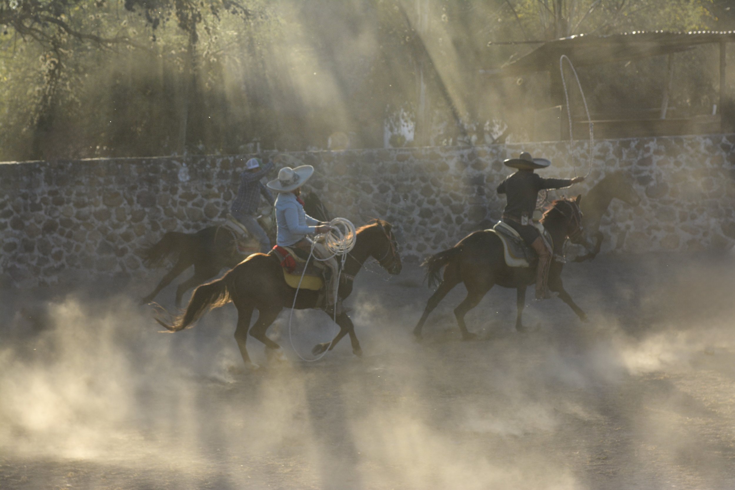 _DSC8931.jpeg