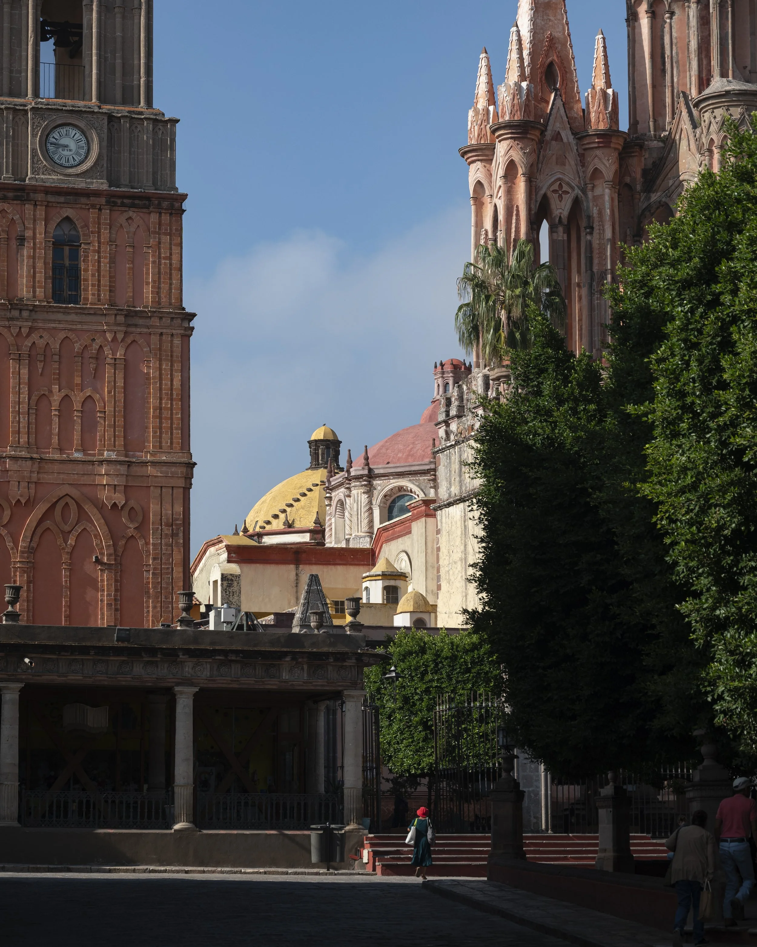 _DSC7618.jpeg