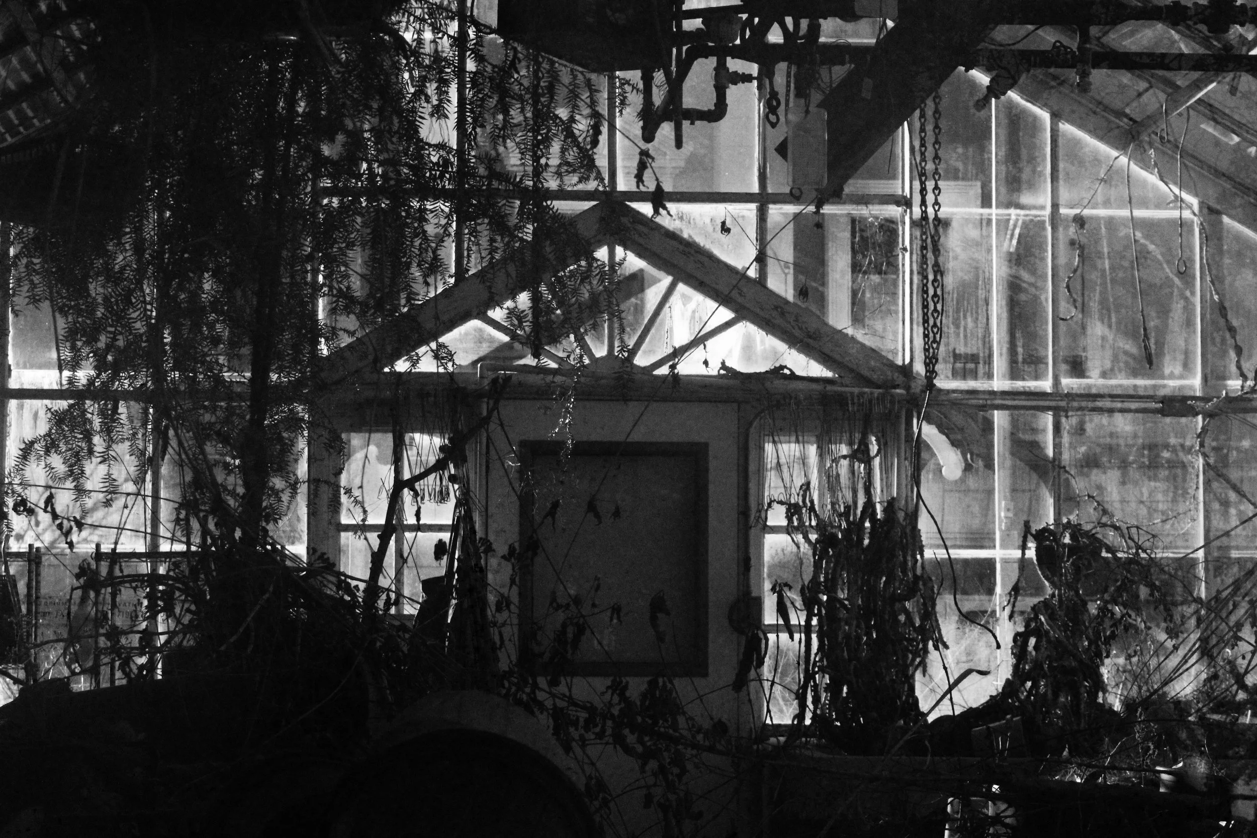 'greenhouse' print
