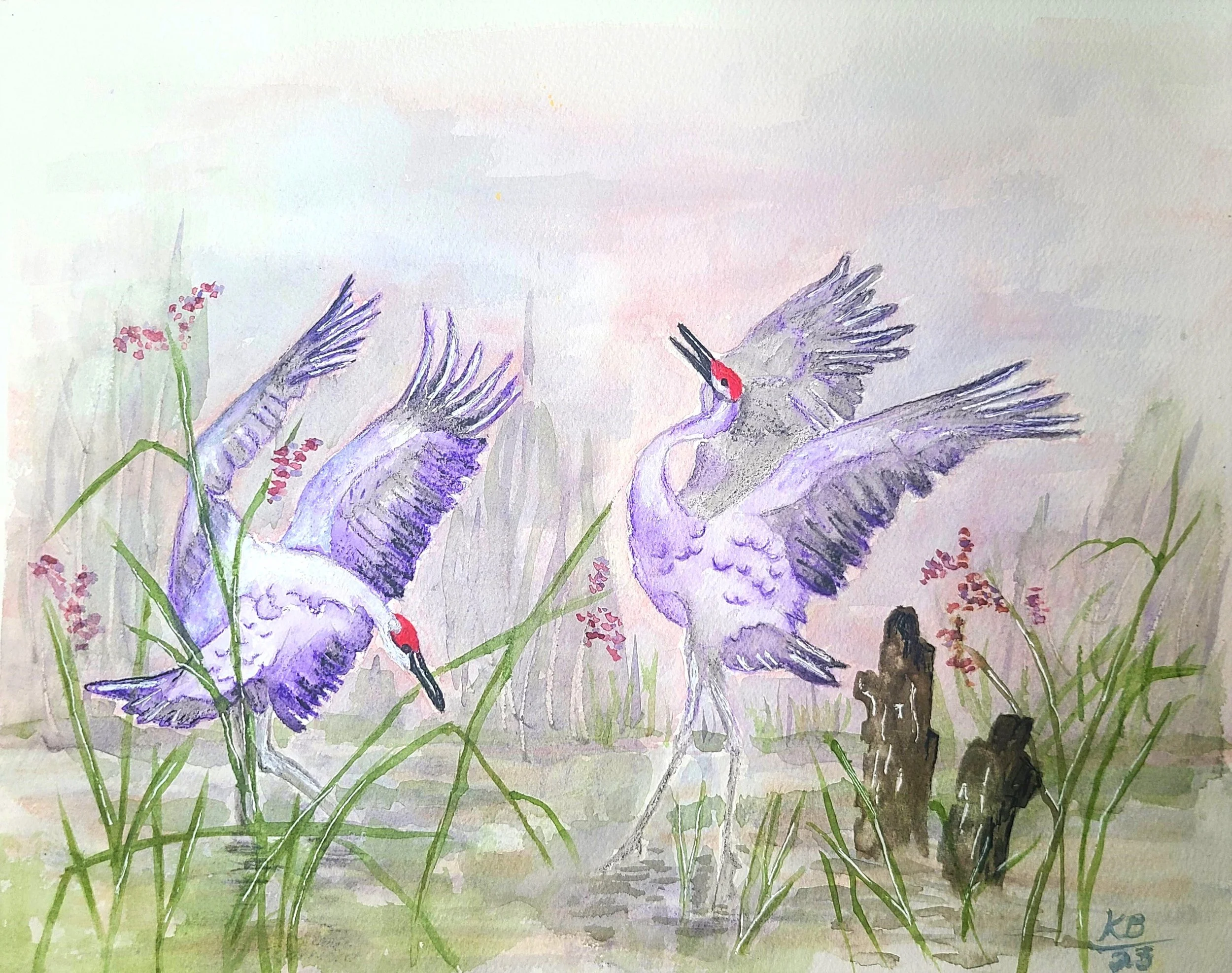 Sandhill Cranes Original.jpg