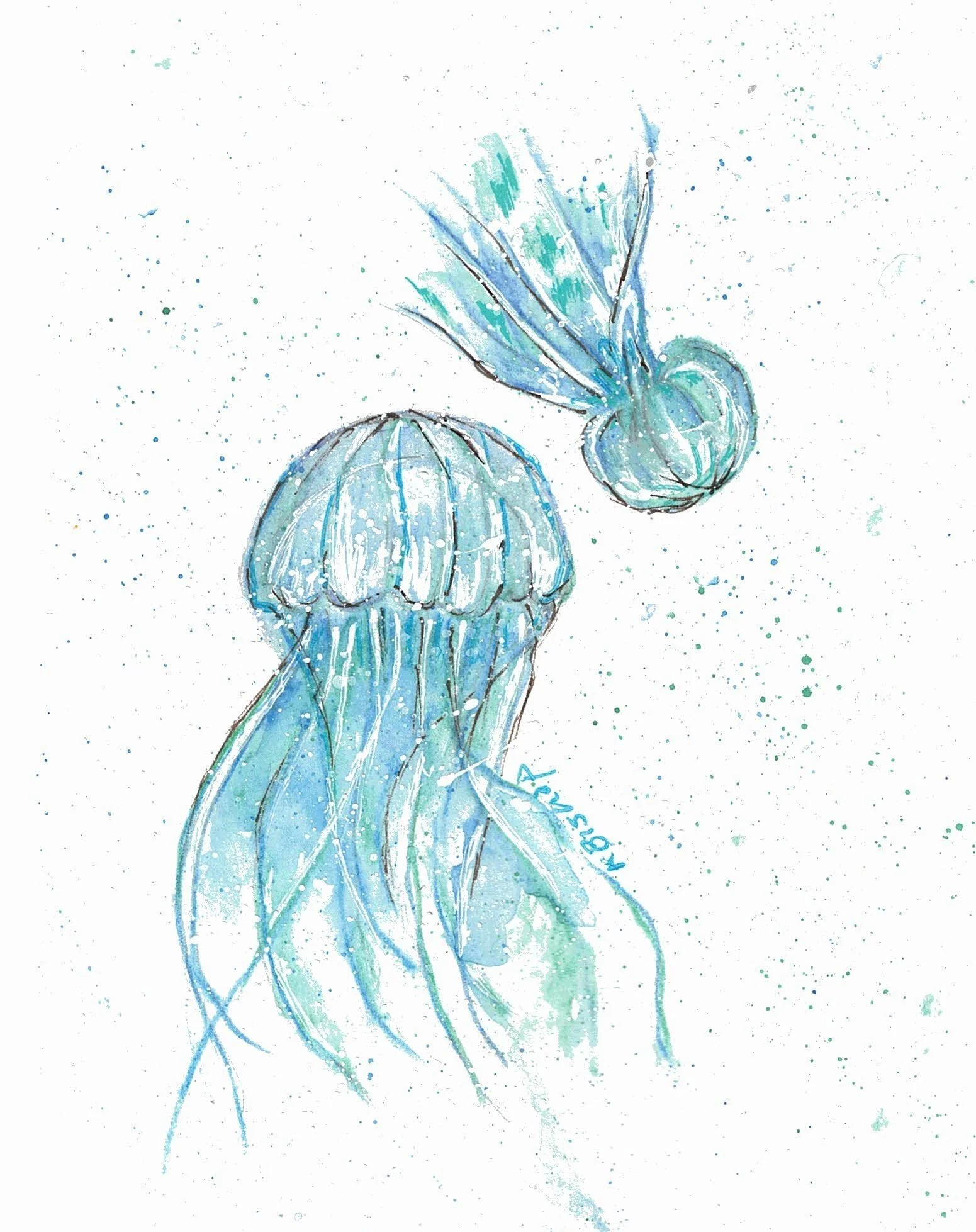 Jellyfish.jpg