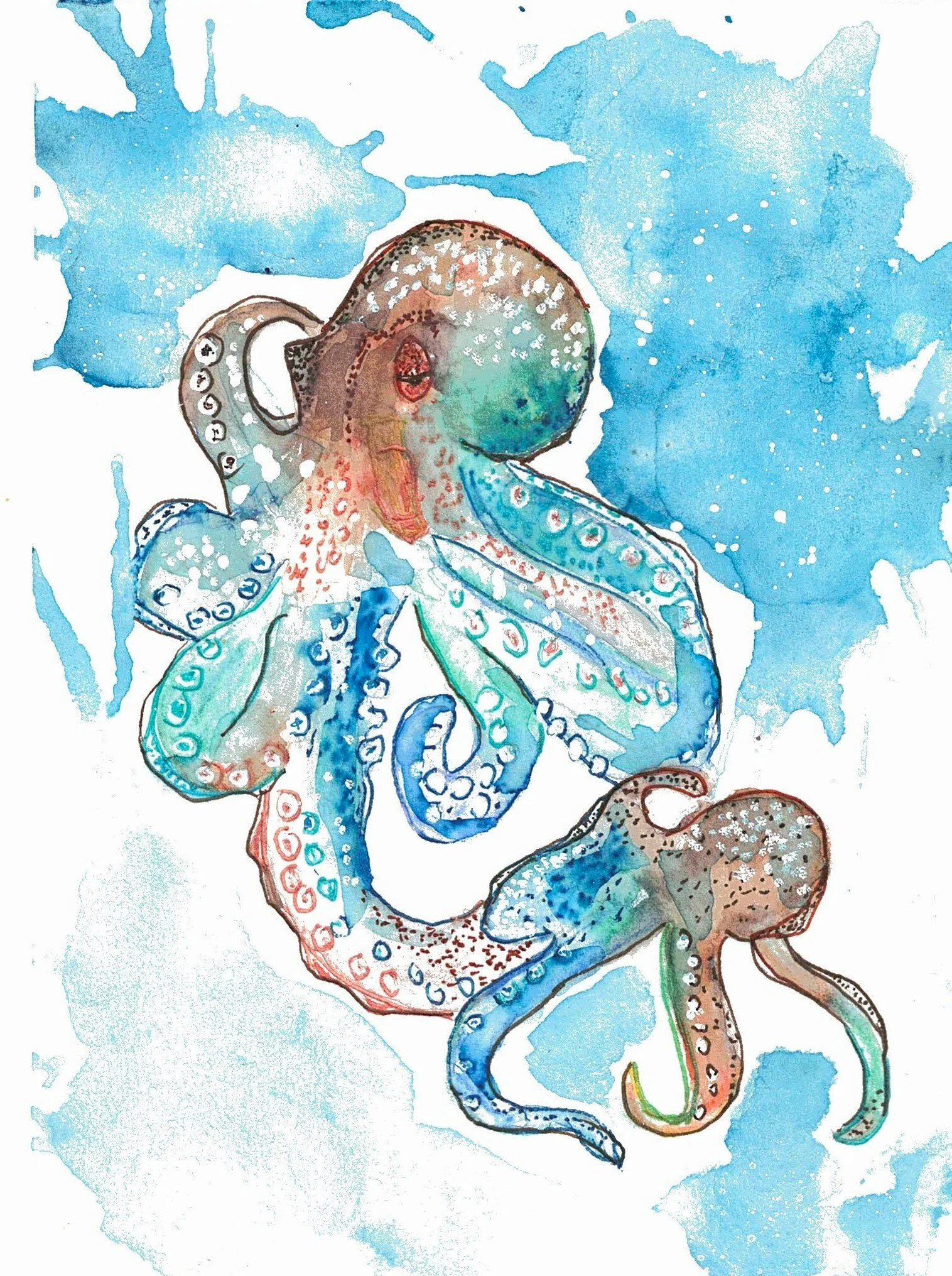 Octopus.jpg