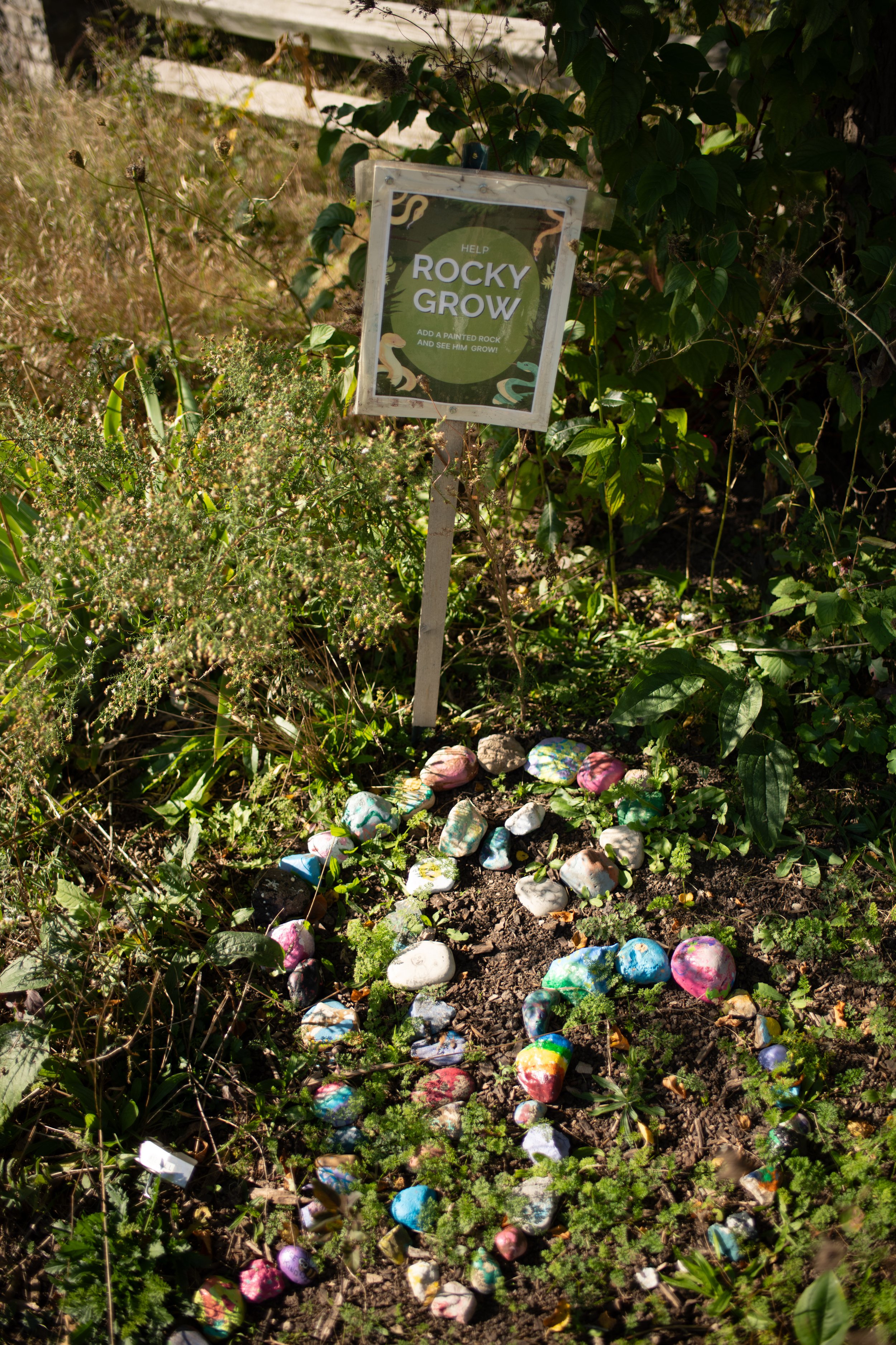 Vegetable Artwork Placed in the Gardens