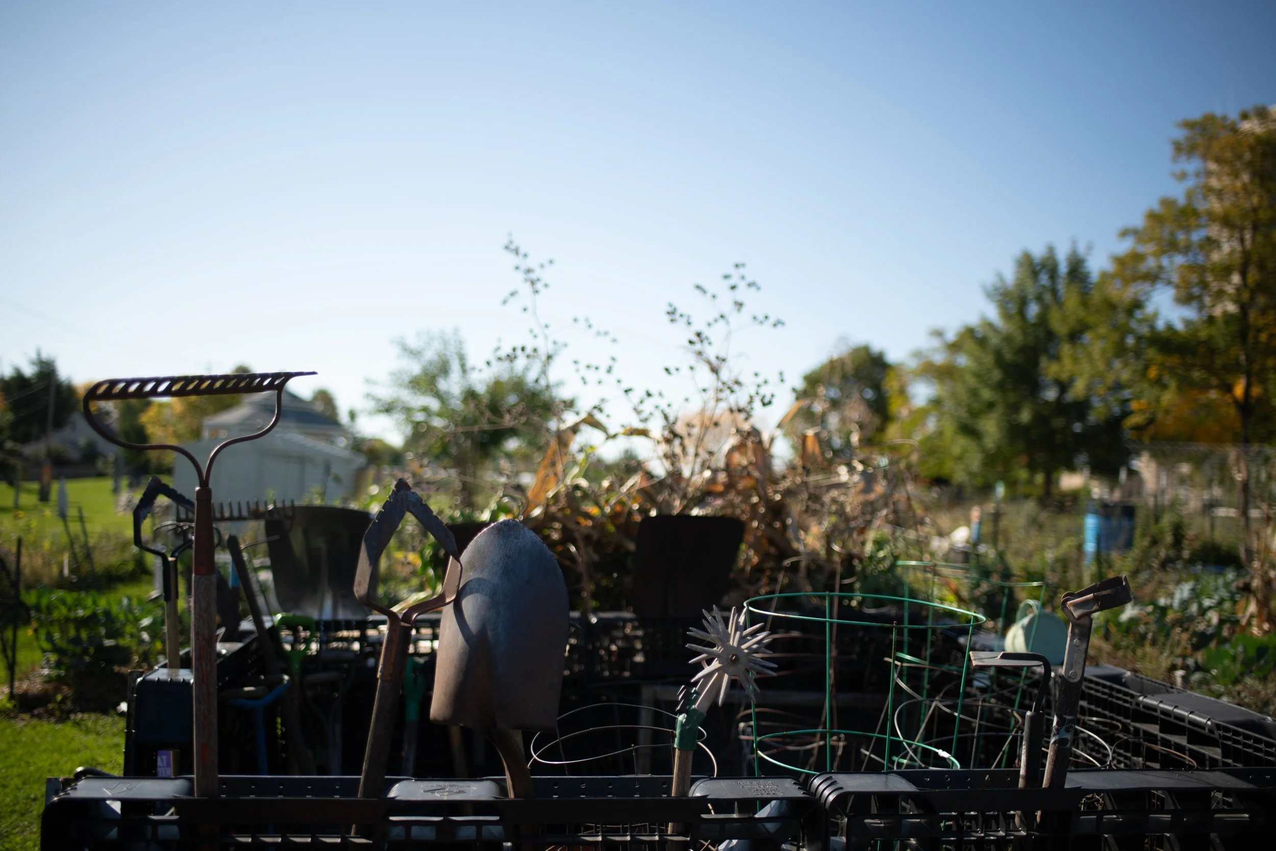 Fall Garden Clean-up