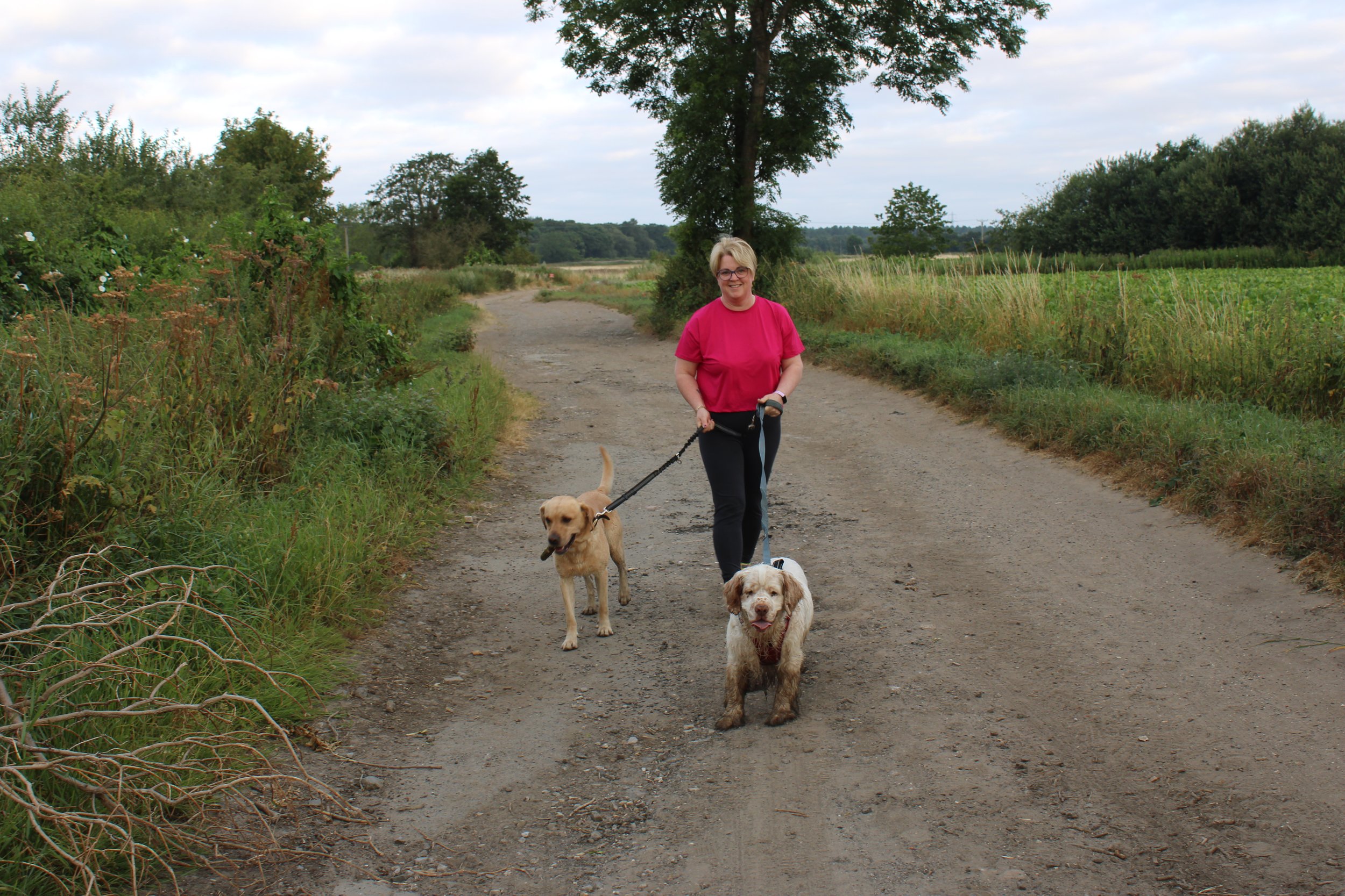 A woman in a pink shirt walking three dogs on a dirt path surrounded by green vegetation and trees.
