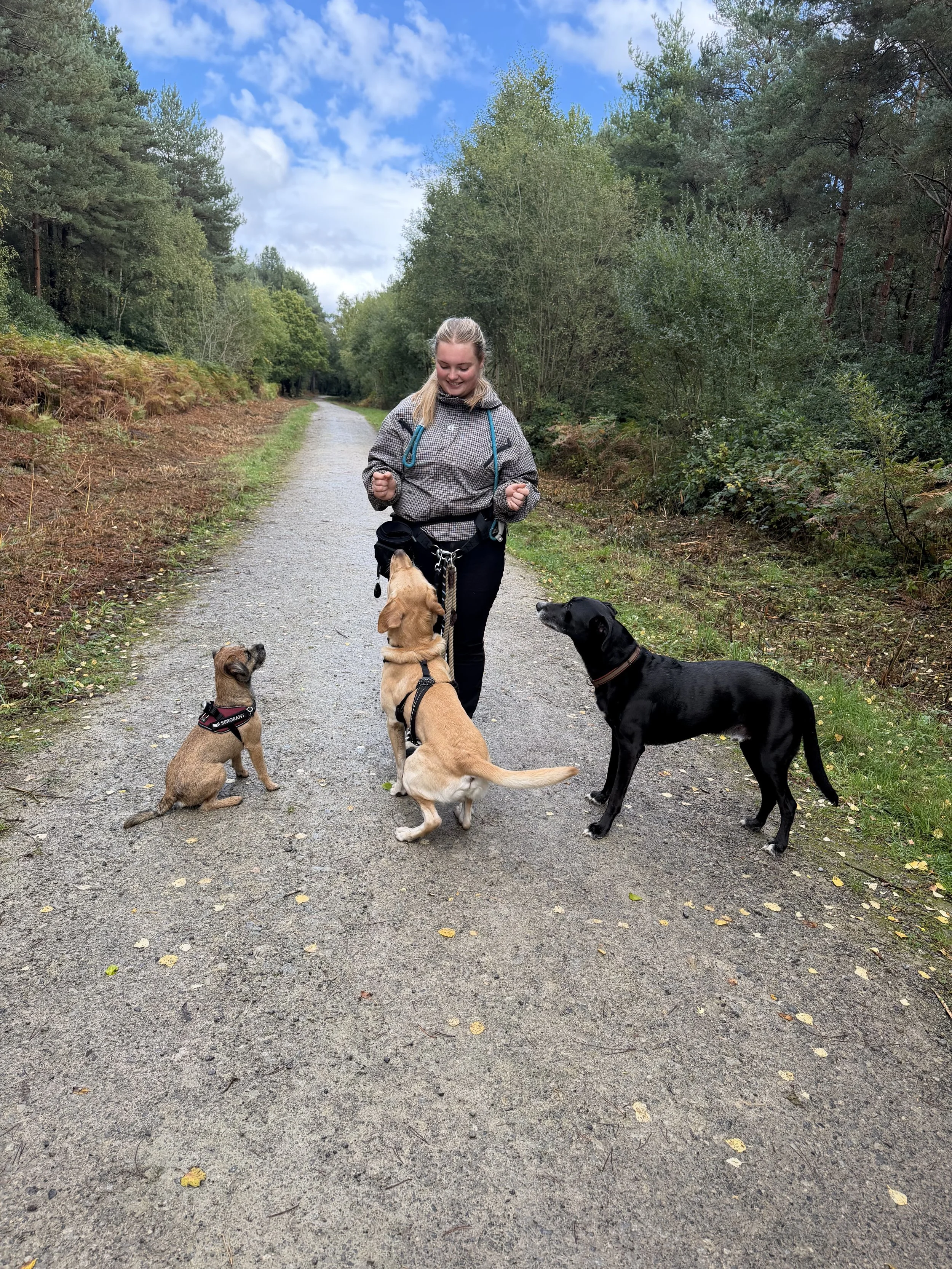 A woman with blonde hair in a ponytail, wearing a gray camouflage jacket, black pants, and a blue harness, standing on a gravel path in a wooded area with four dogs around her. The woman is smiling with fists clenched. The dogs include a puppy with a