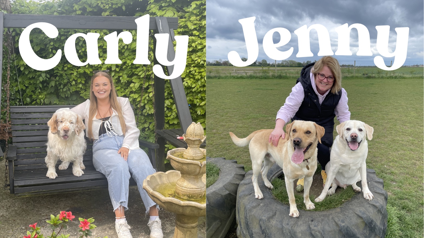 Two women each with two dogs in outdoor settings. The woman on the left, Carly, seated on a swing with her dog, a white and brown spaniel, beside her. The background features a green hedge and some garden decor. The woman on the right, Jenny, kneeling on a large tire with her two dogs, a yellow Labrador and a white Labrador, on the grassy field, with a cloudy sky overhead.