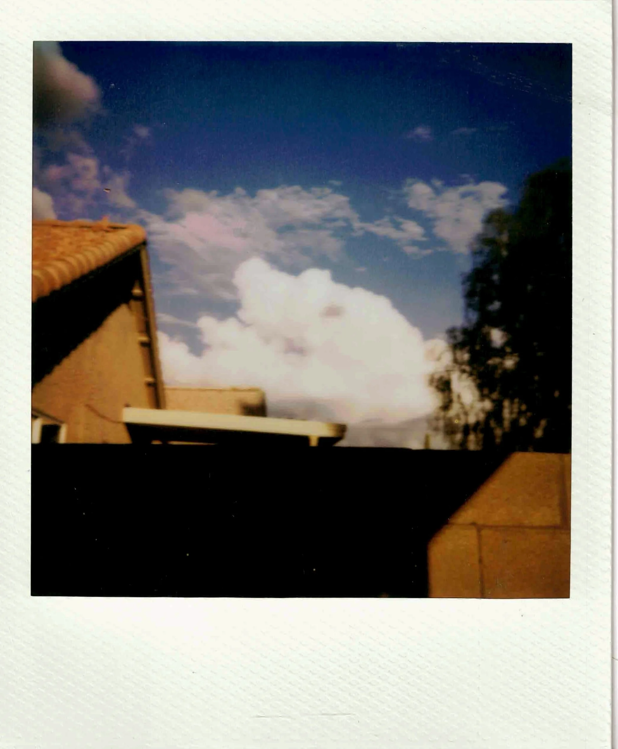 polaroid9_29_26.jpeg