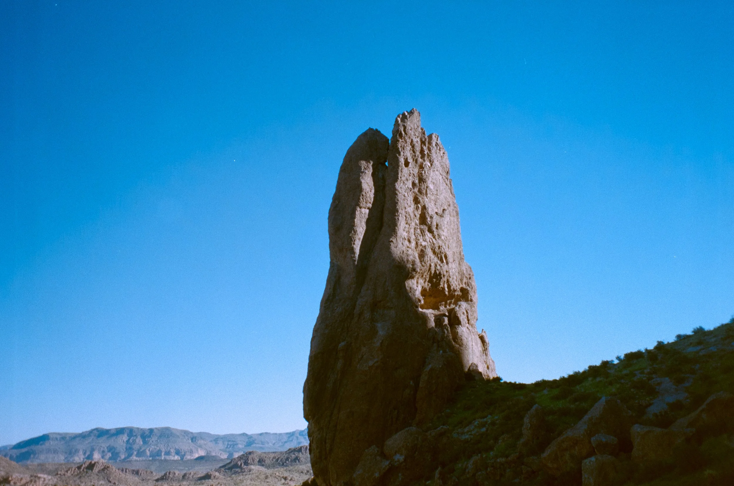 _MG_7137.jpg