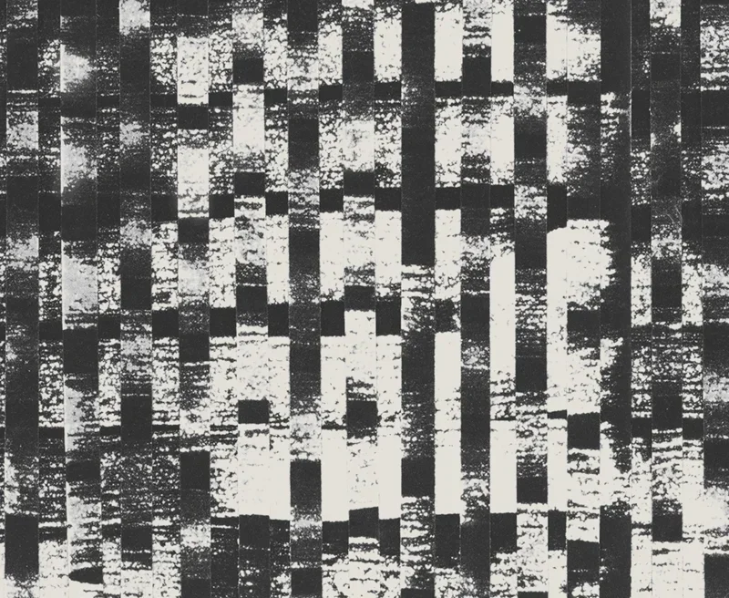 obakki-ss12-basketweave-1.webp