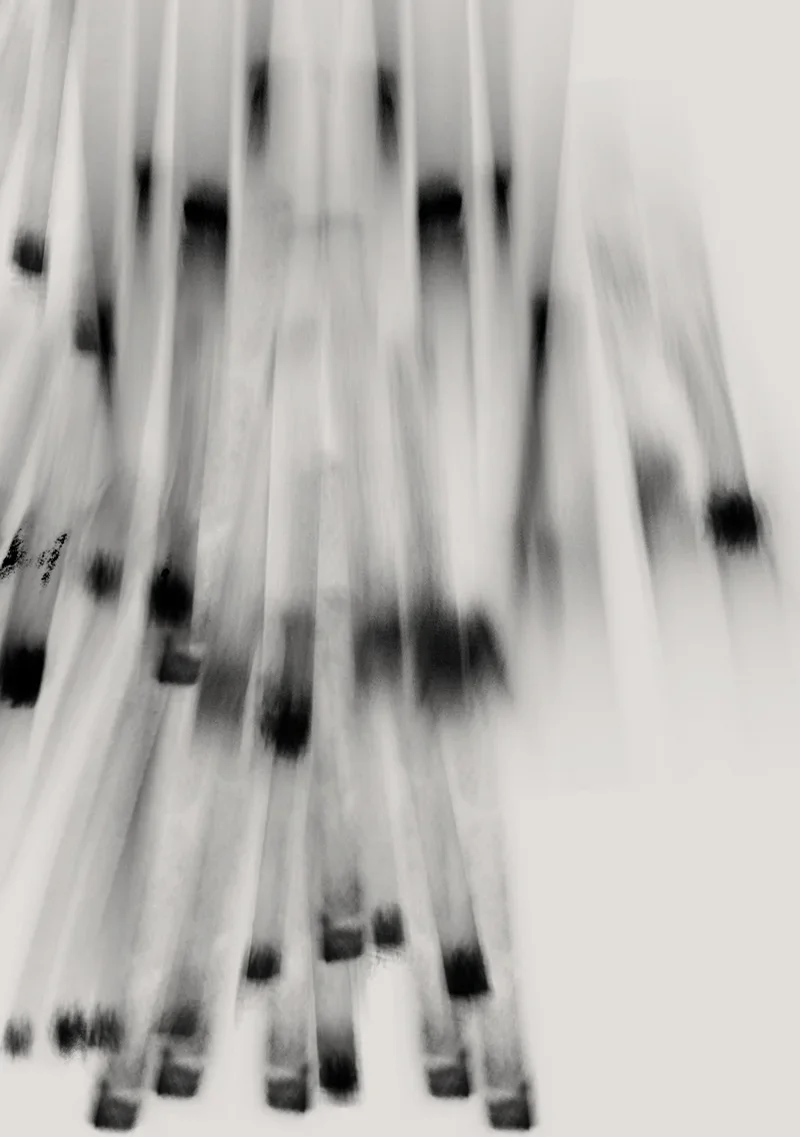 FW12_Matchstick_Print_detail.webp