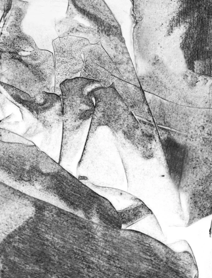 CG_Arch Glaze Detail Print.webp