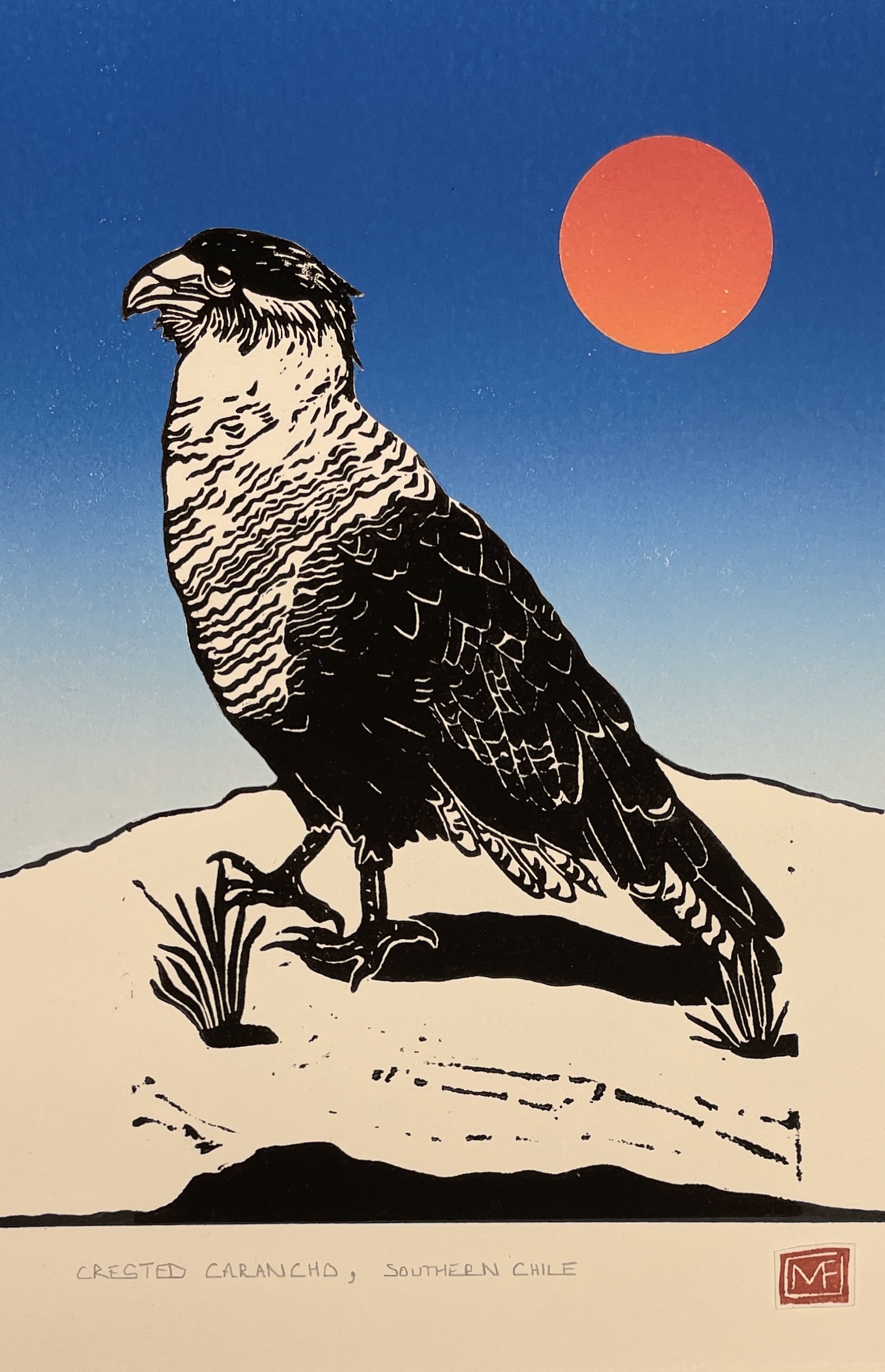 Black and white illustration of a condor perched on a rock, with a red sun and blue sky in the background. Handwritten text at the bottom reads "Crested Caranch, Southern Chile."