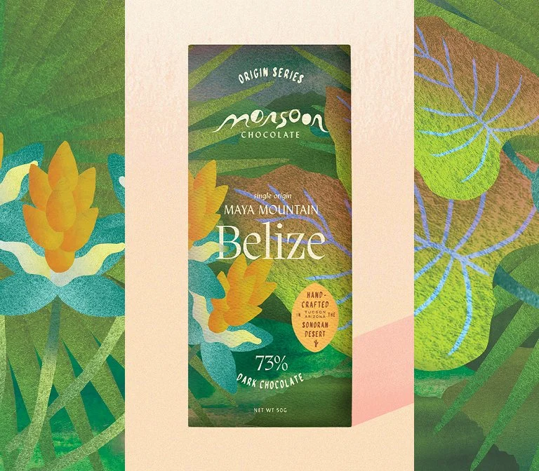 Packaging design for a chocolate bar which shows a tropical landscape with a watercolor illustration feel.