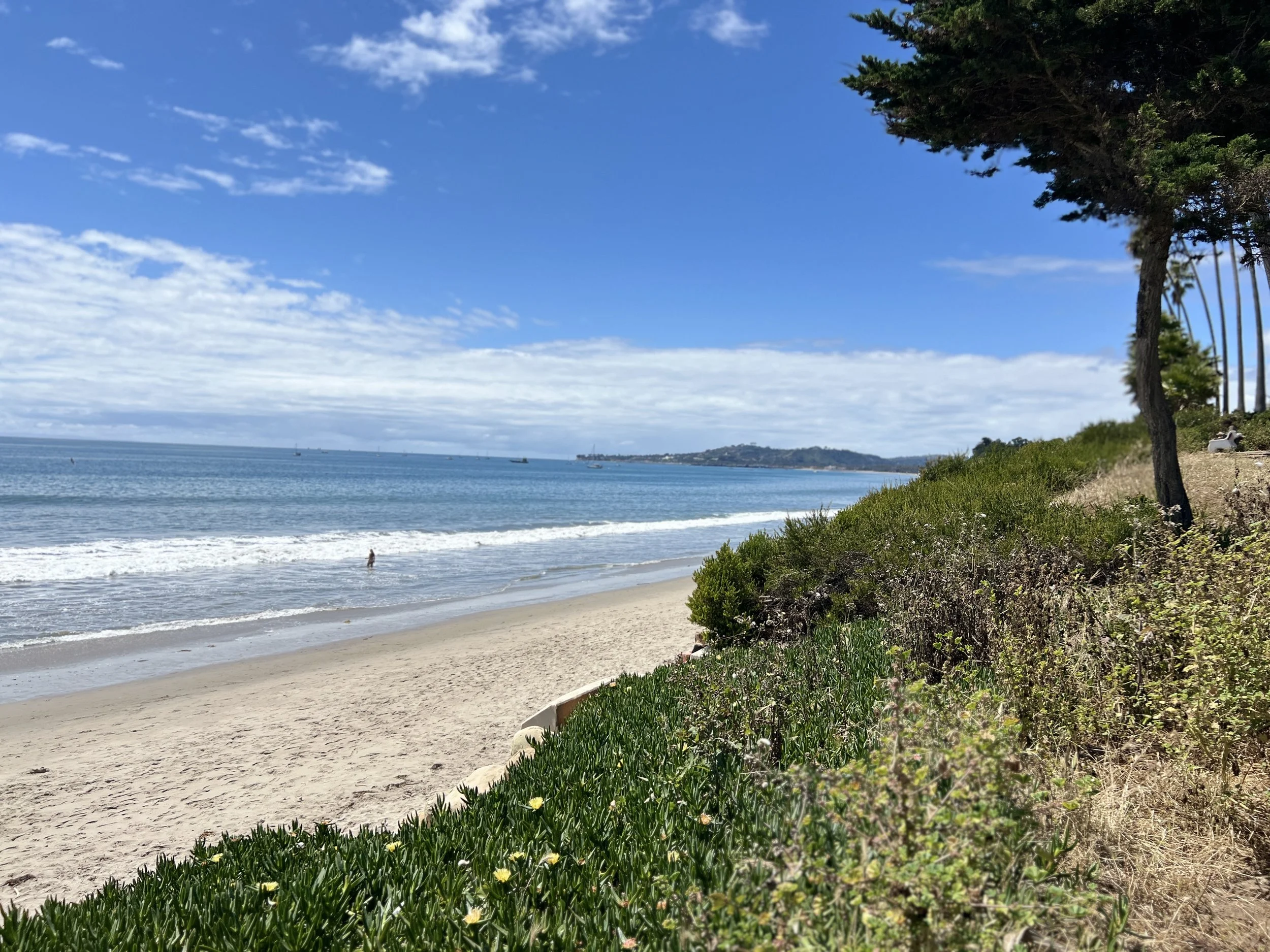 Beach with sandy shore, waves, and a person walking near the water. Green bushes and trees line the right side, with a large tree leaning over the scene. Ocean and boats are visible in the distance under a partly cloudy sky.