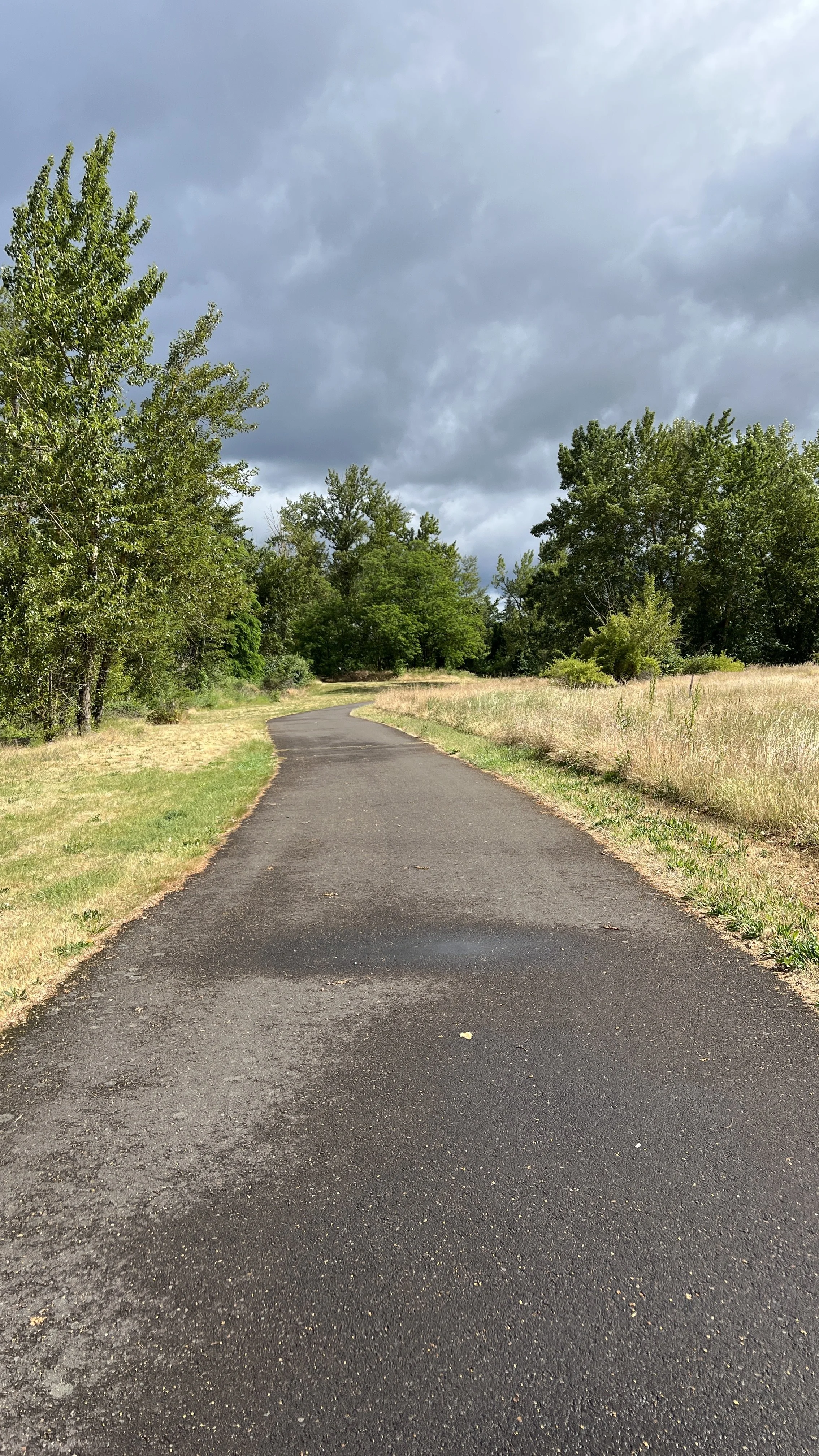 A paved path winding through a grassy field with trees on both sides under a cloudy sky.