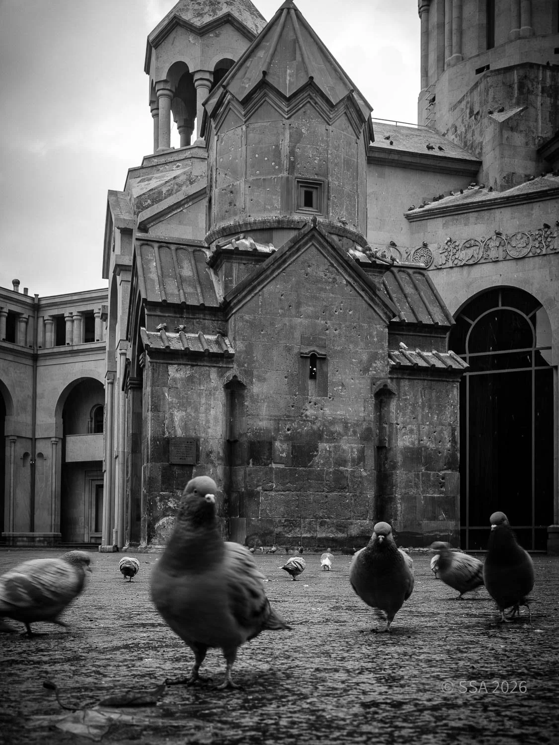 Black and white photo of pigeons walking on a wet stone courtyard in front of ancient stone buildings with towers and arched windows.