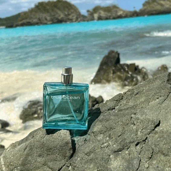 true ocean 2.webp
