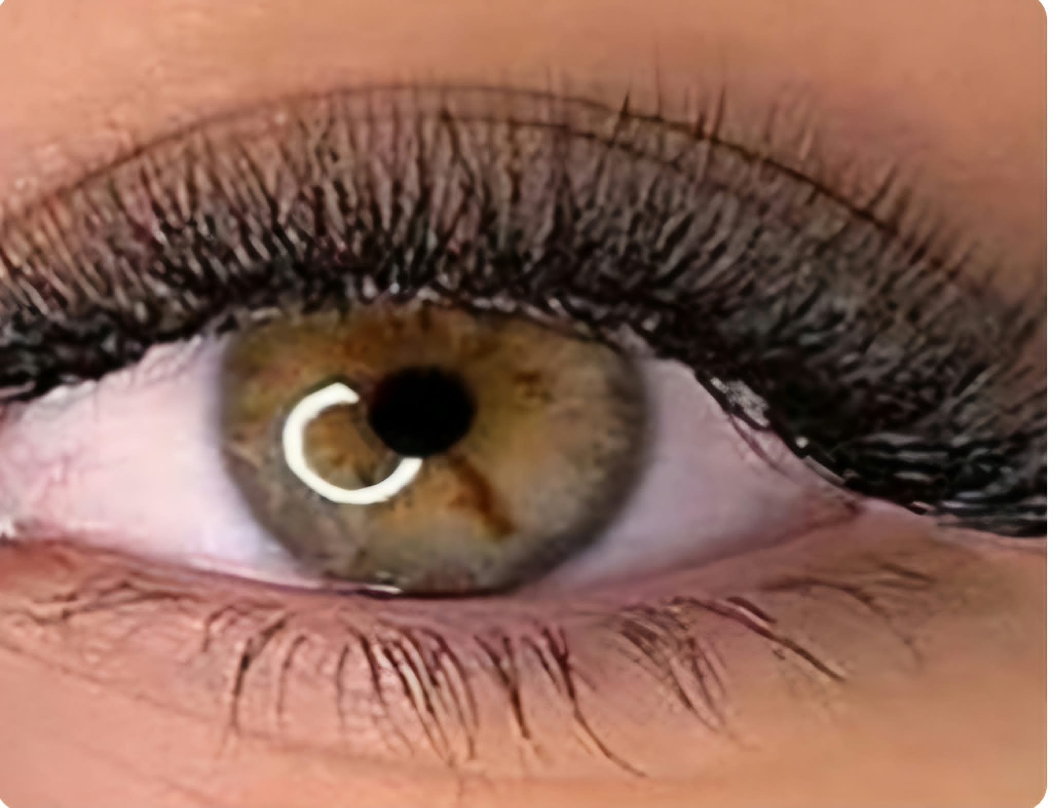 Volume Lash Extensions