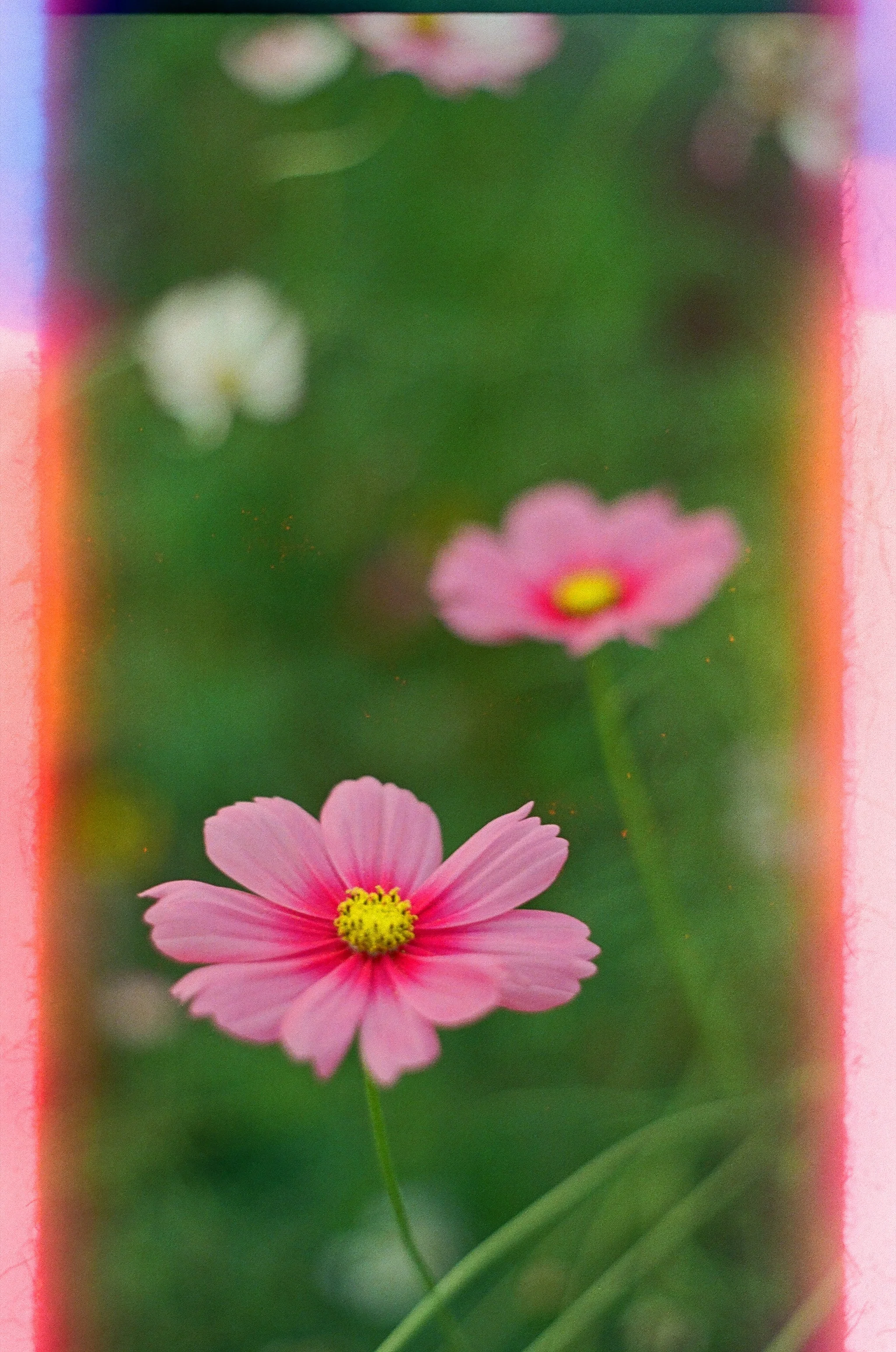 Minutia
