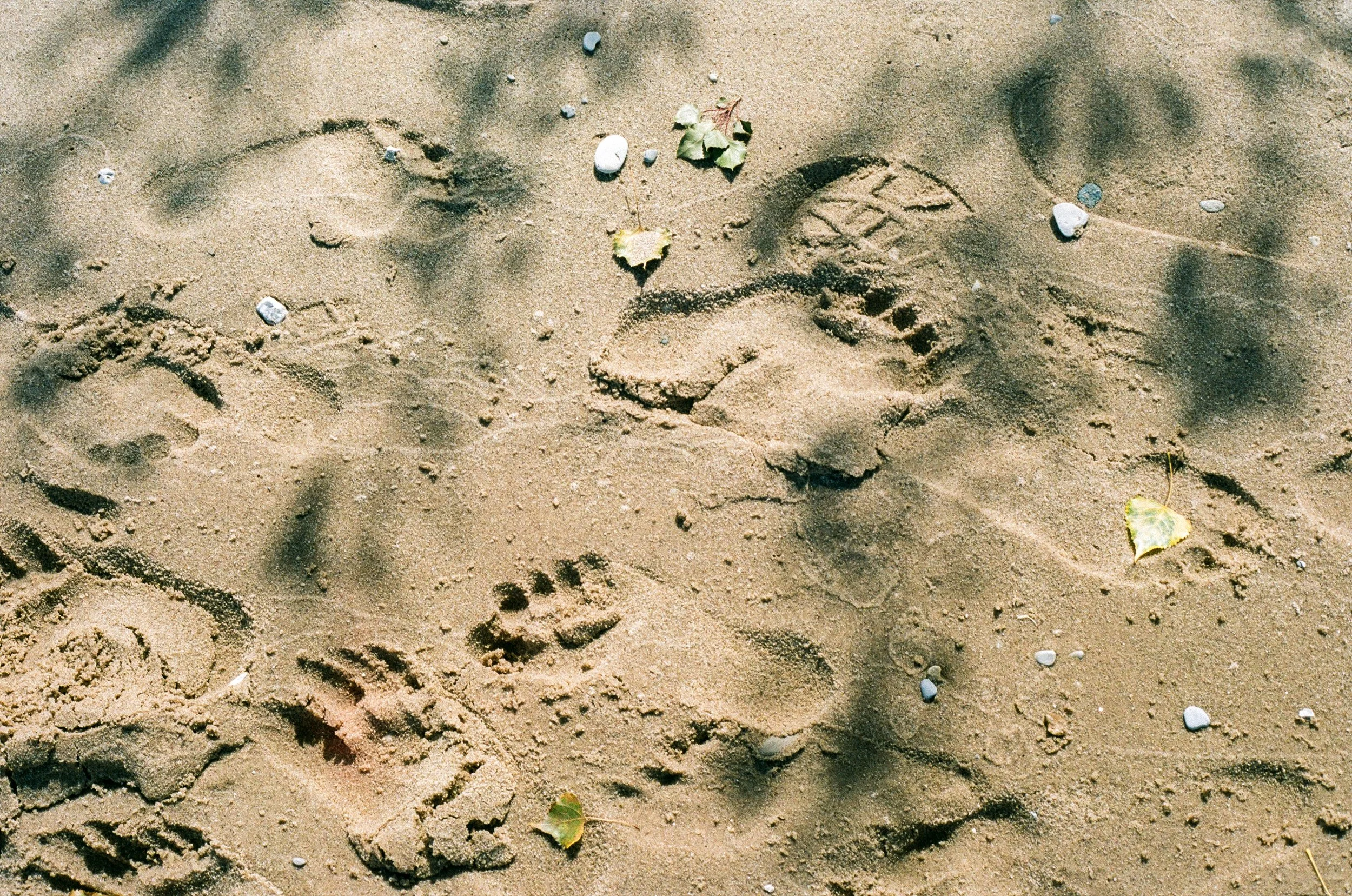 001371410036 2.JPG