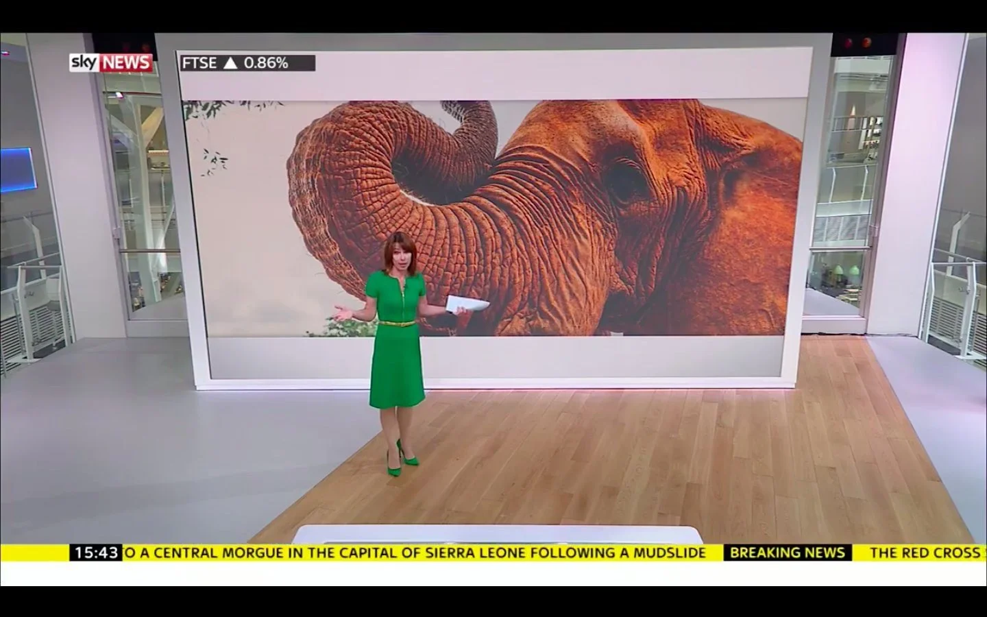 Hello in Elephant on Sky News