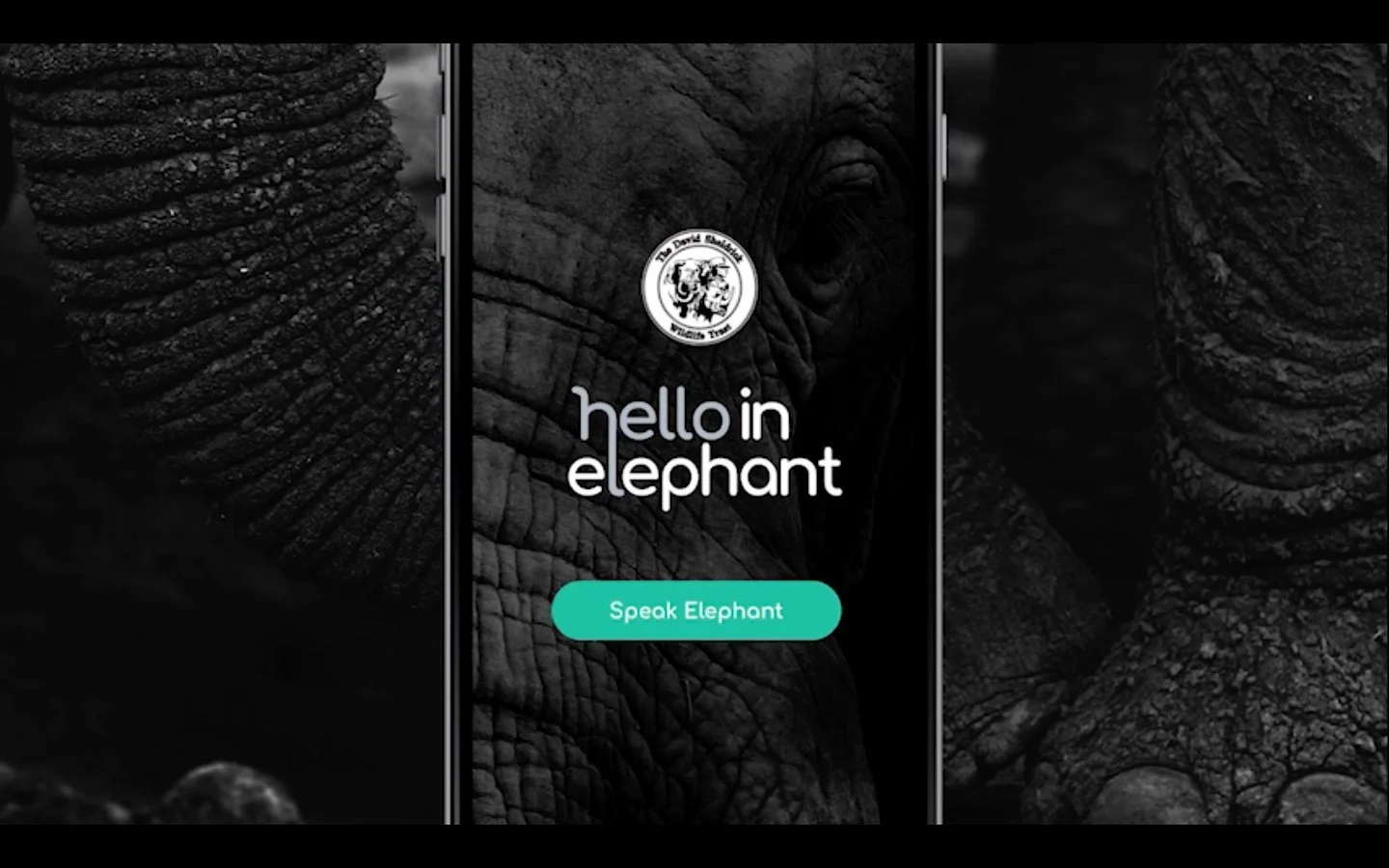 The Hello in Elephant website on a phone