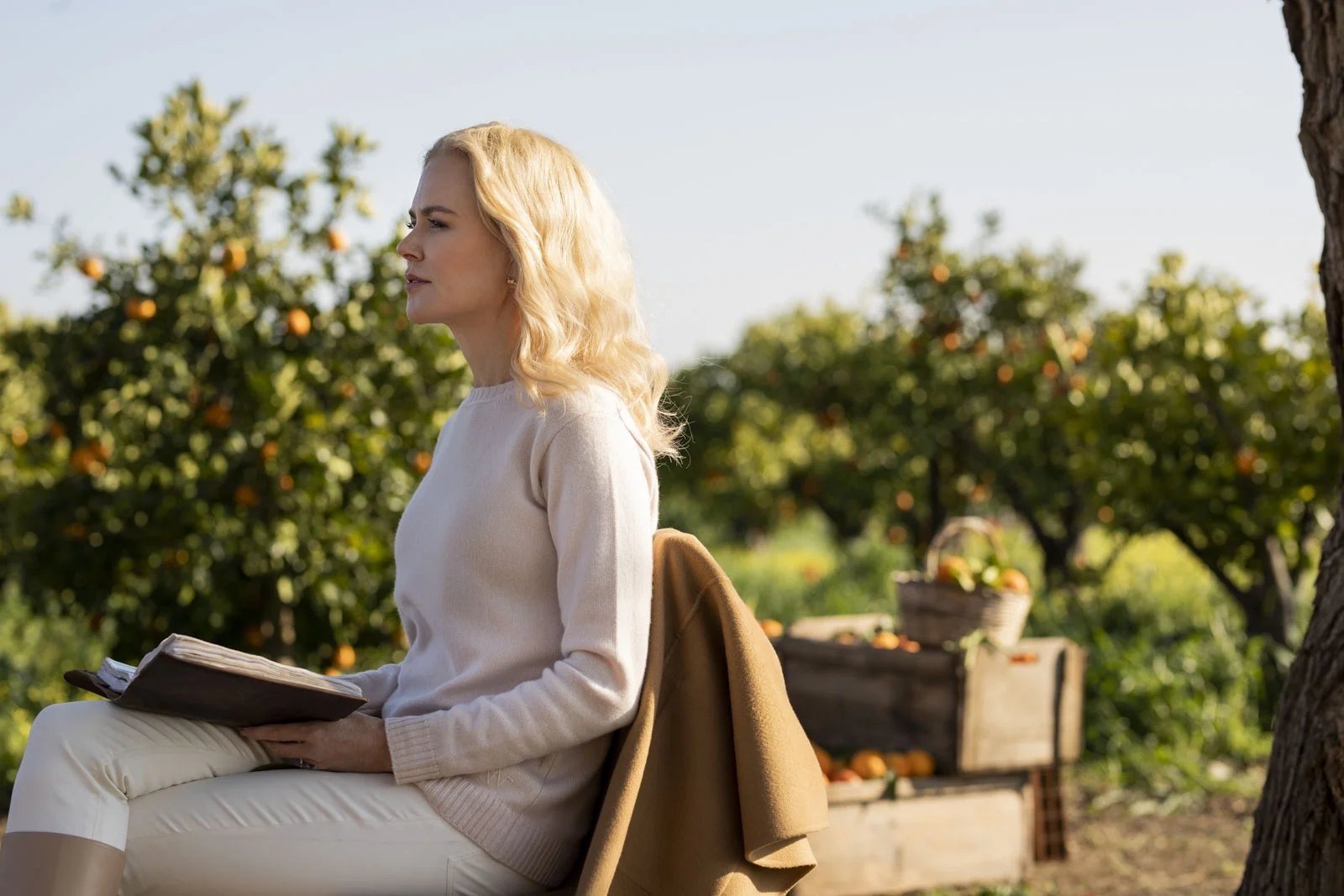 Nicole Kidman reading in an orange grove