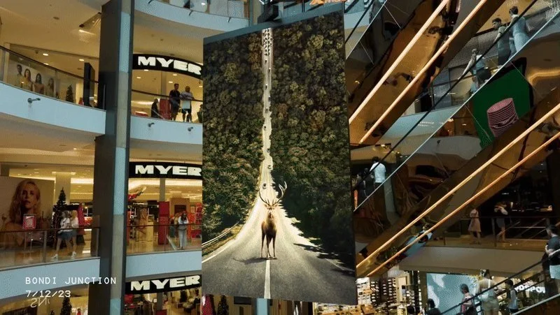 Myer, Bondi Junction: an empty road through a forest