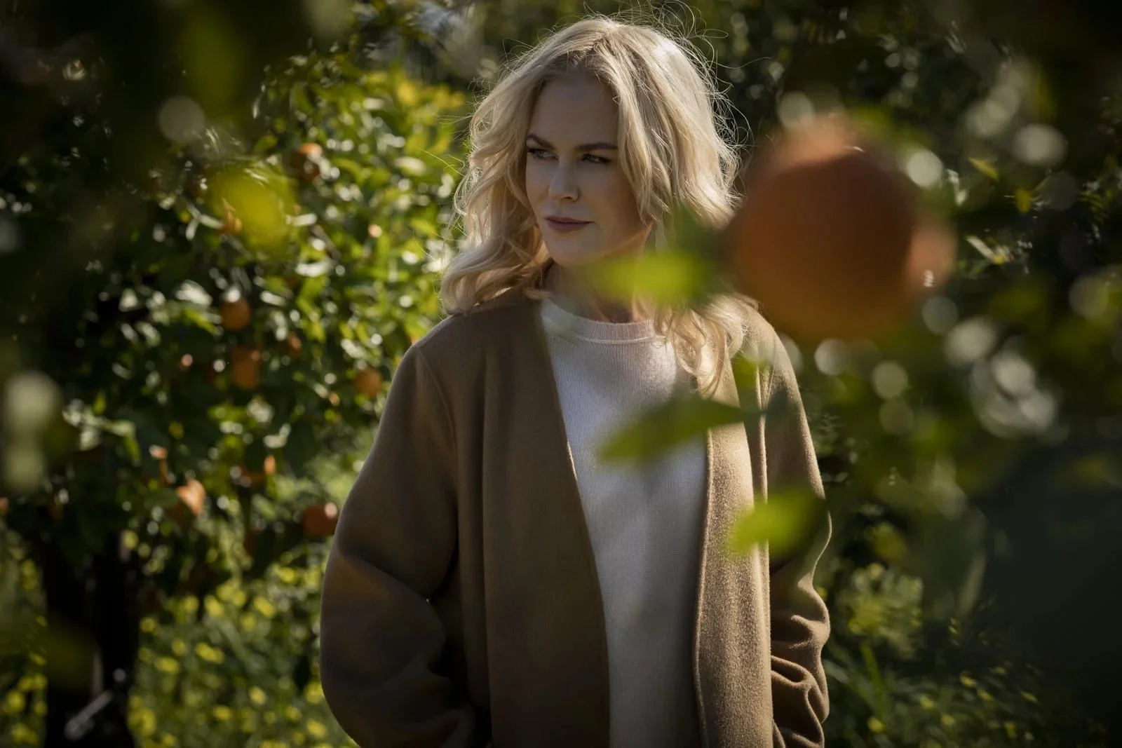 Nicole Kidman in an orange grove
