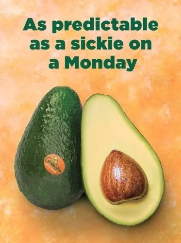 Greenskin Avocados post: As predictable as a sickie on a Monday