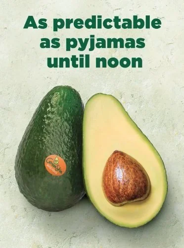 Greenskin Avocados post: As predictable as pyjamas until noon