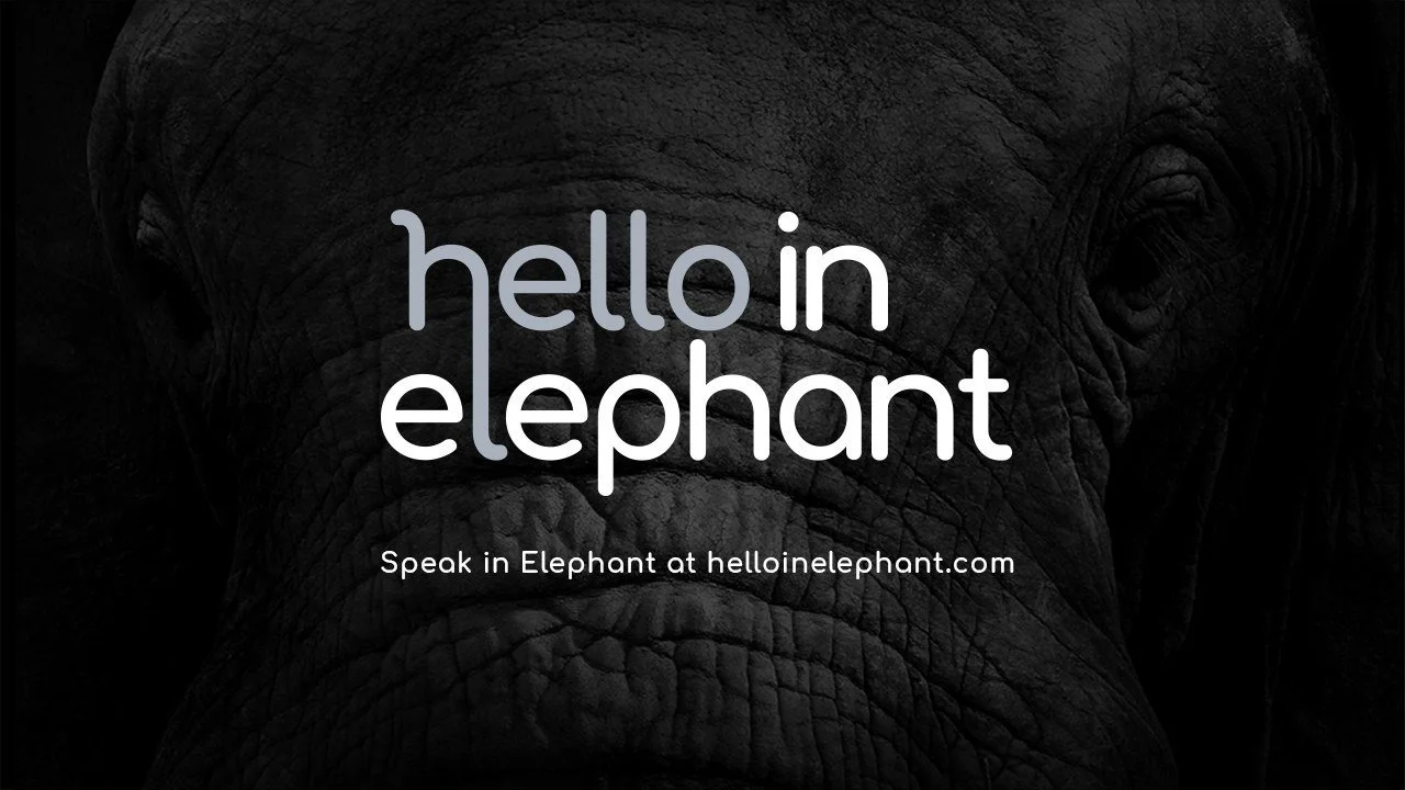 01-hello-in-elephant-logo-over-a-close-up-of-an-elephant.jpg
