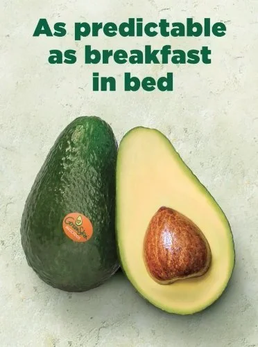 Greenskin Avocados post: As predictable as breakfast in bed