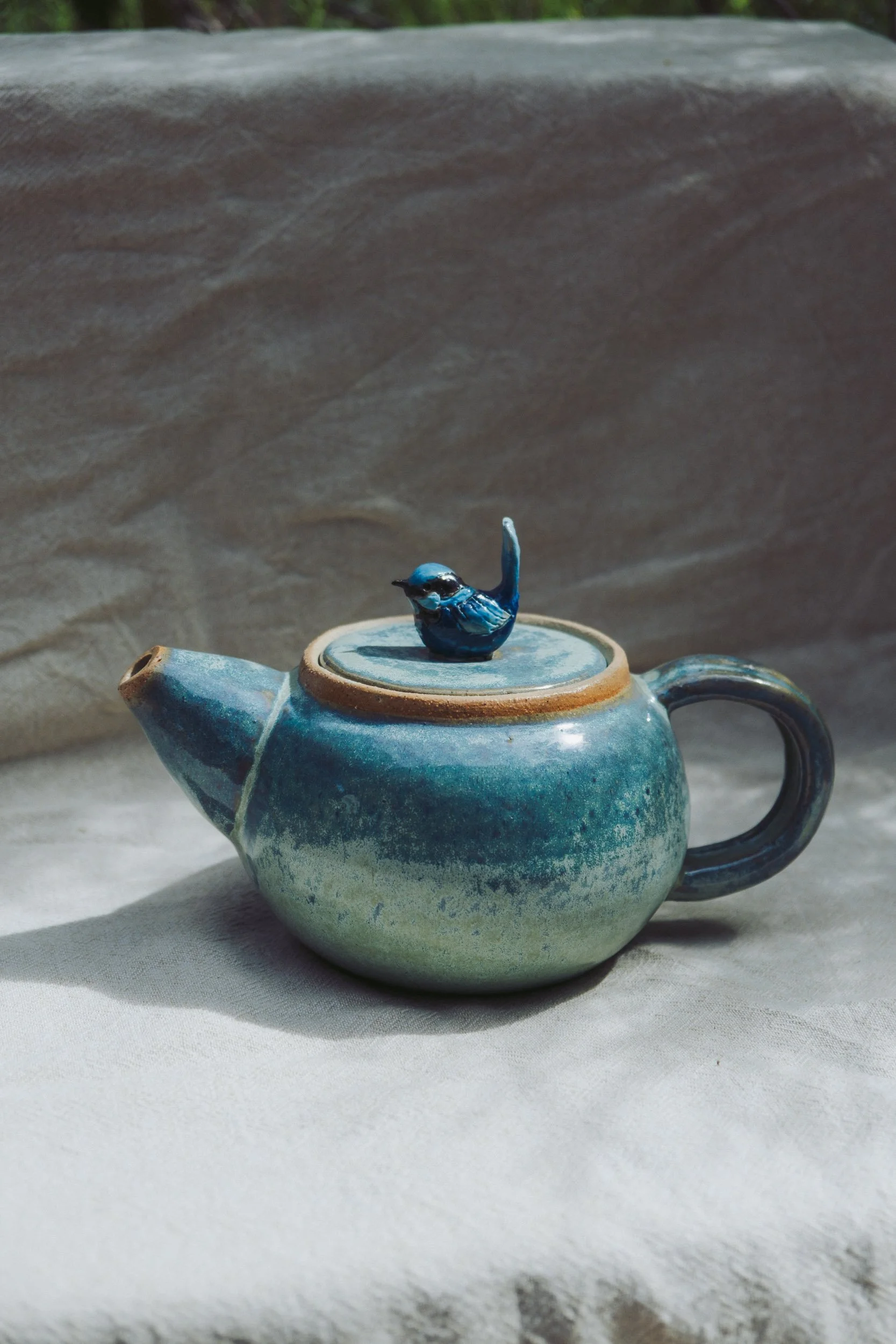 Fairy-Wren – Teal Teapot