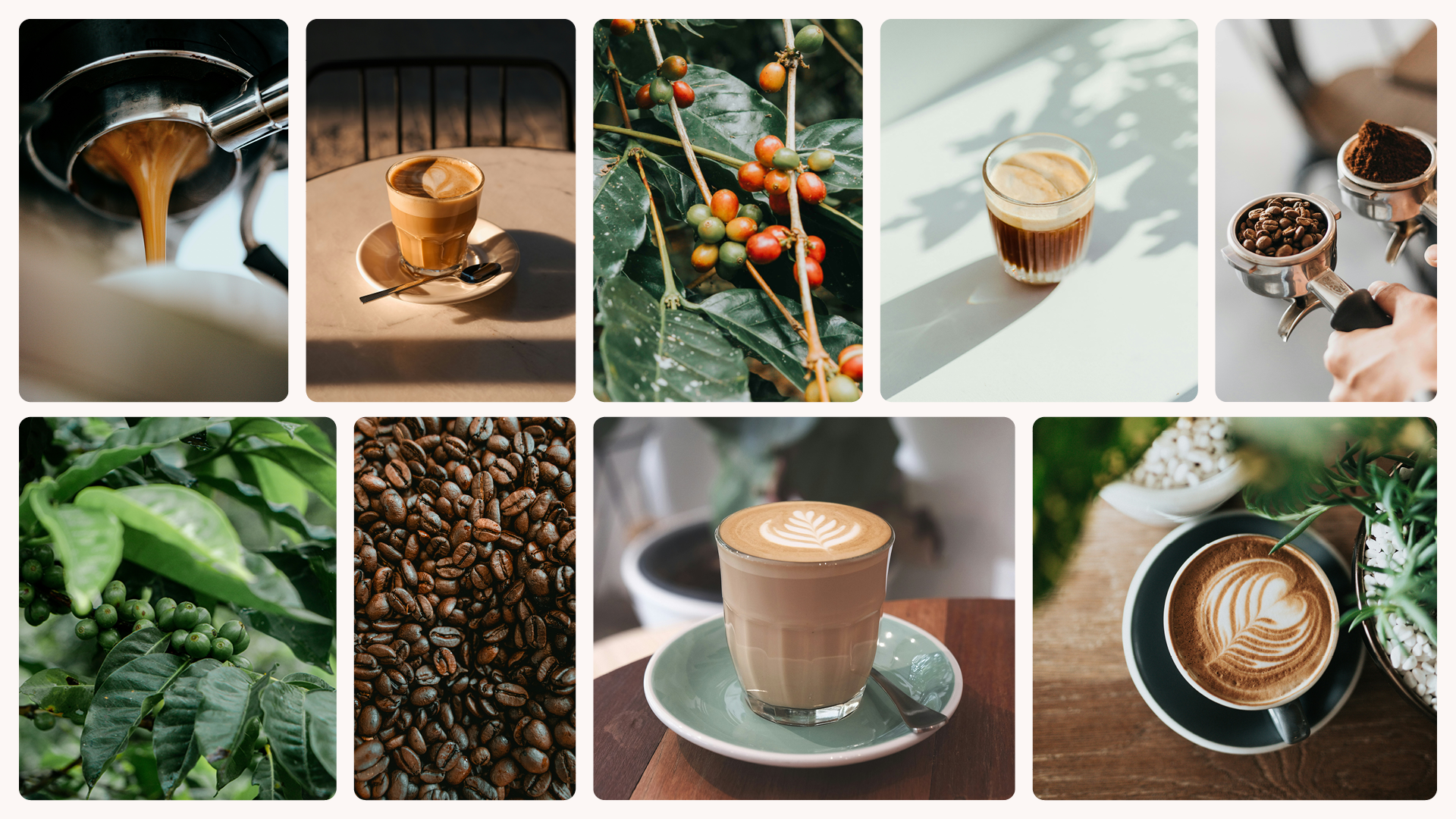Enchanté - coffee & tea truck - identité visuelle
