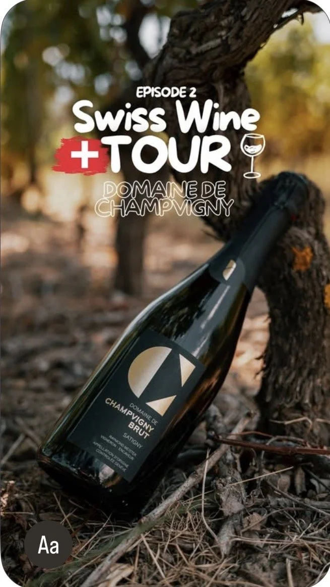 A bottle of wine lying on the ground among fallen leaves and twigs, leaning against a tree trunk in an outdoor vineyard setting. The label on the bottle reads 'Domaine de Champvigny Brut Satigny'.