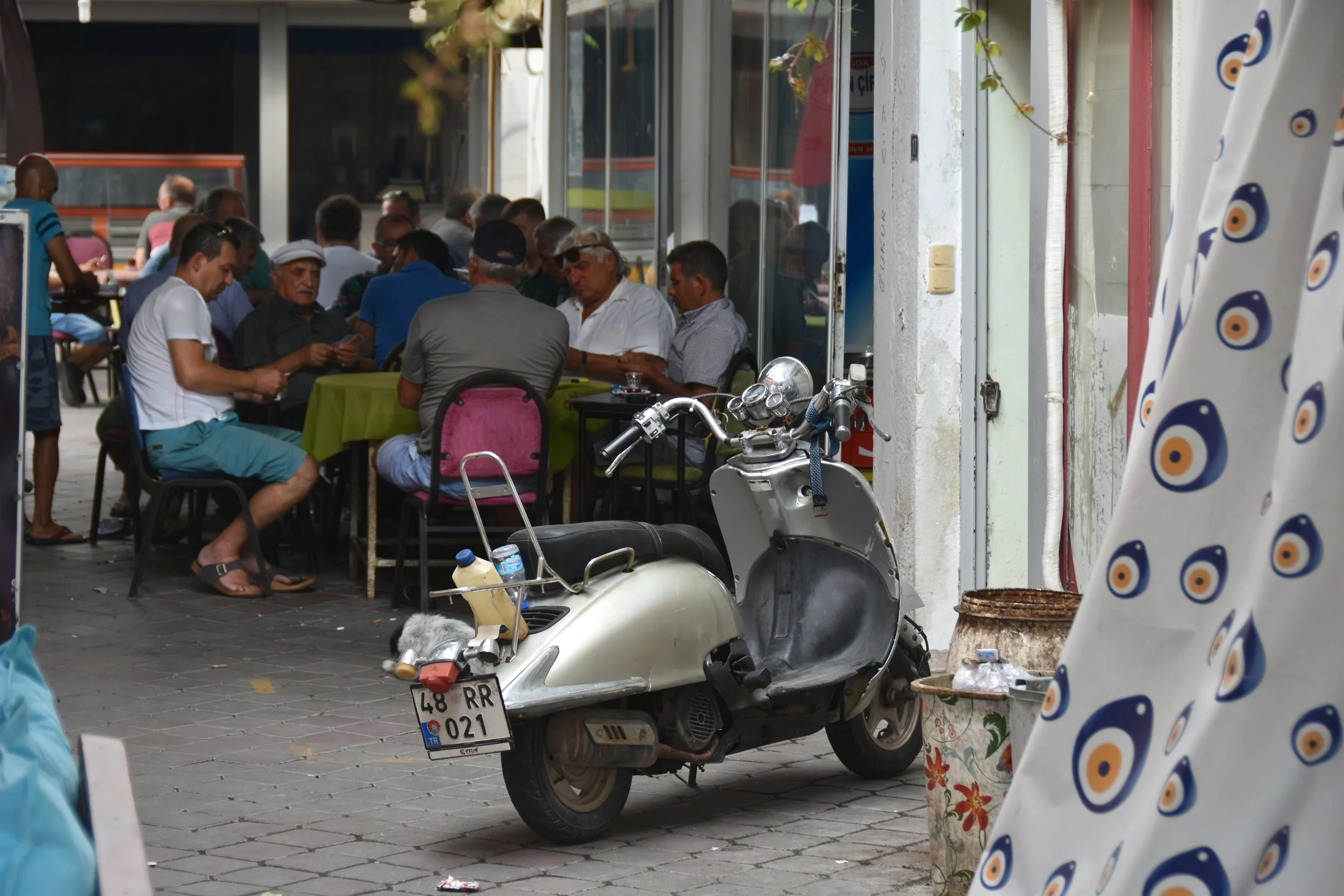 DSC_5535_6x4.jpg