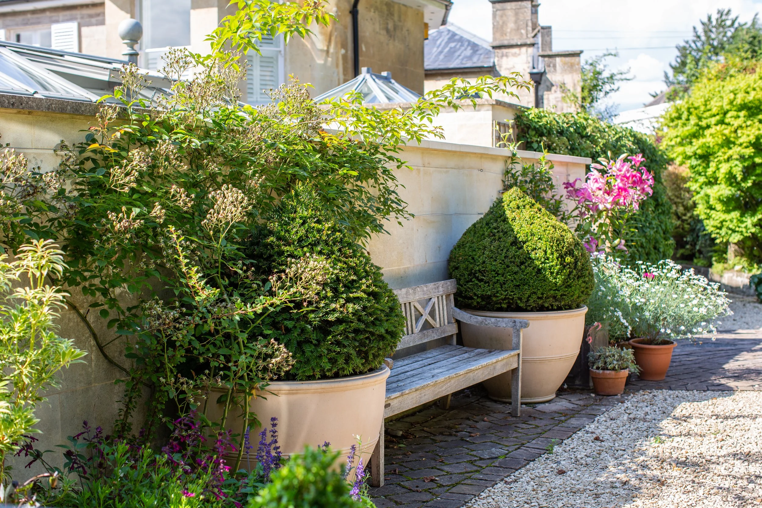 Potted plants and shrubs on a stone and gravel patio outside a building with beige walls and white shutters, under a sunny sky.
