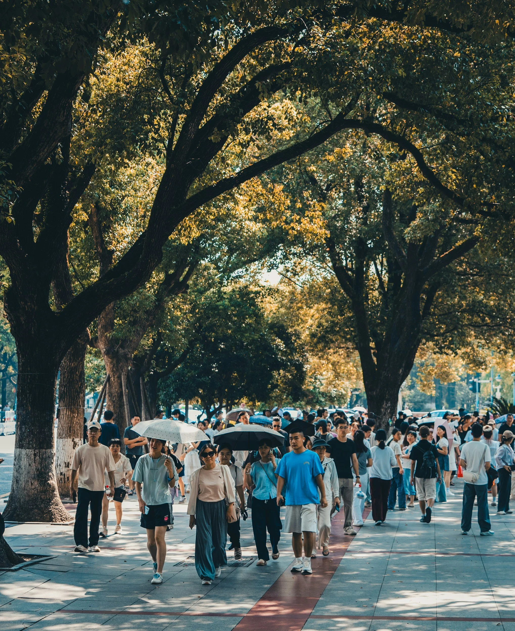 Crowd of people walking on a wide sidewalk under large trees with green leaves in what appears to be a city park or busy outdoor area during daytime.