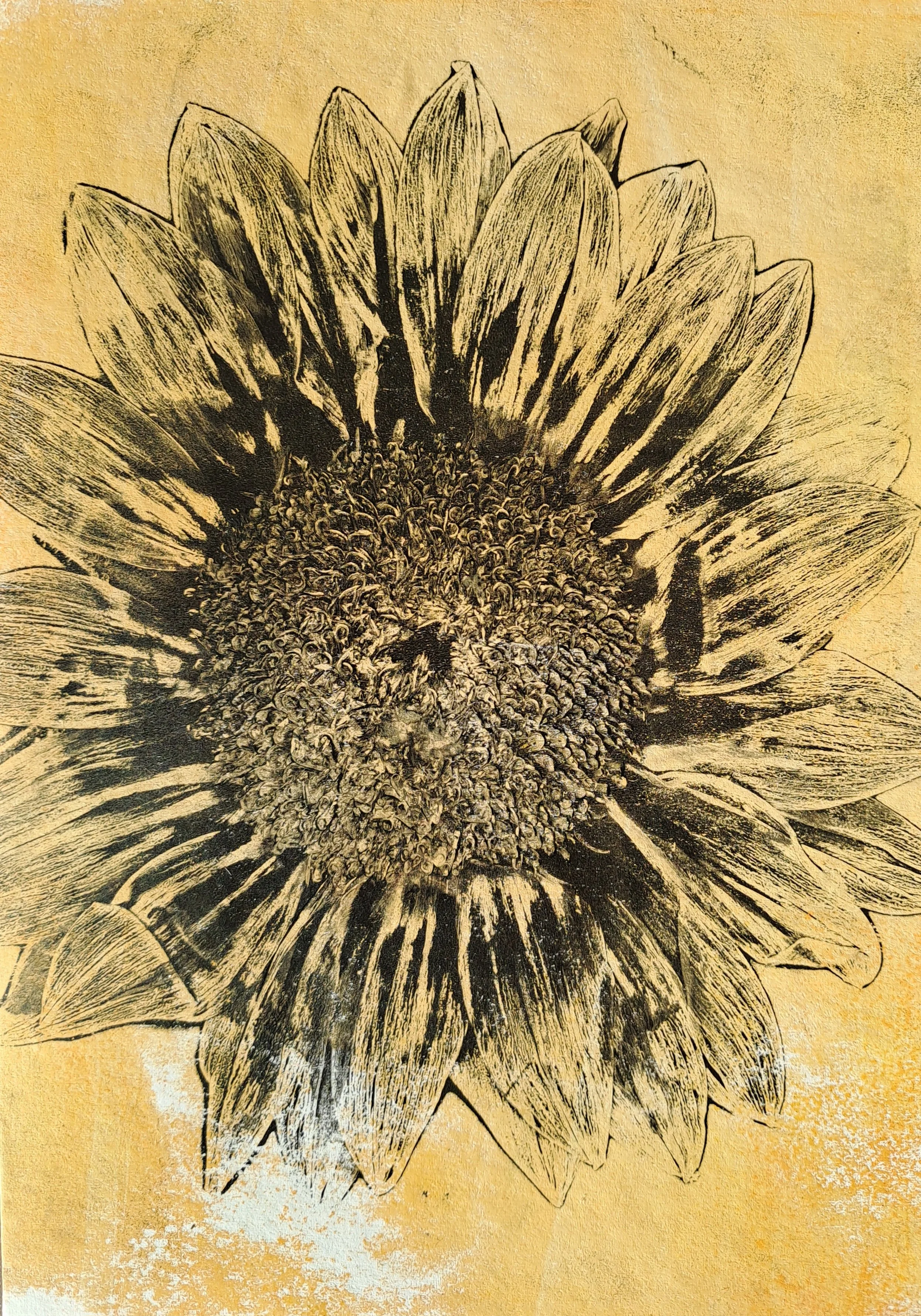 Sonnenblume