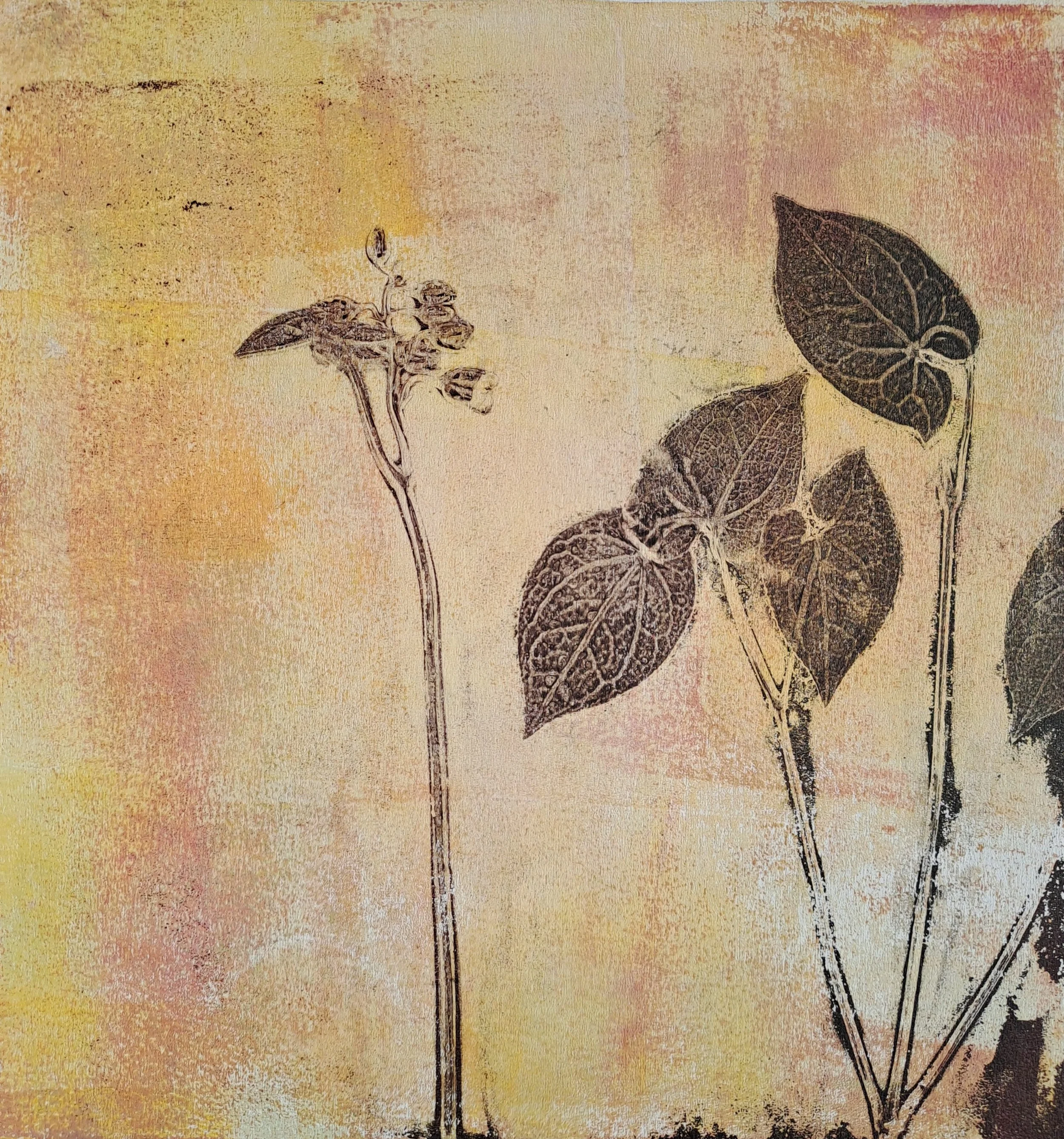Elfenblume
