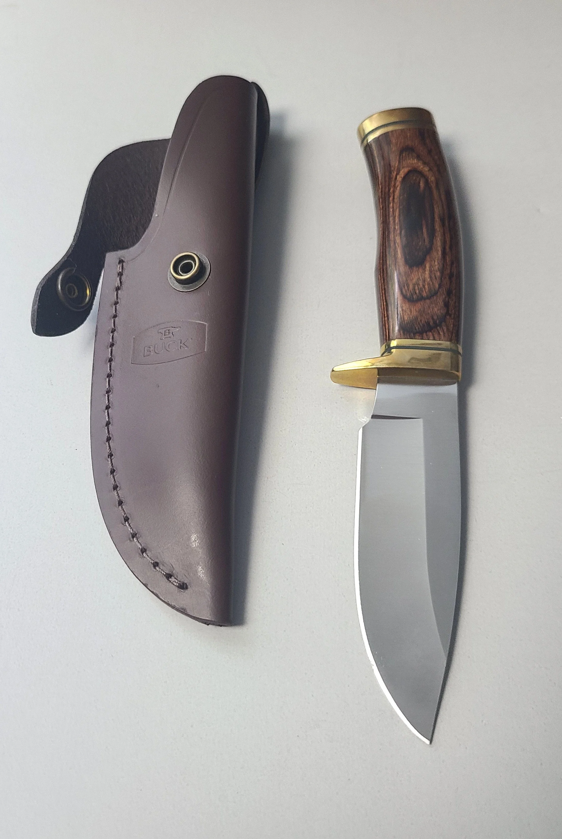 buck1921.jpg