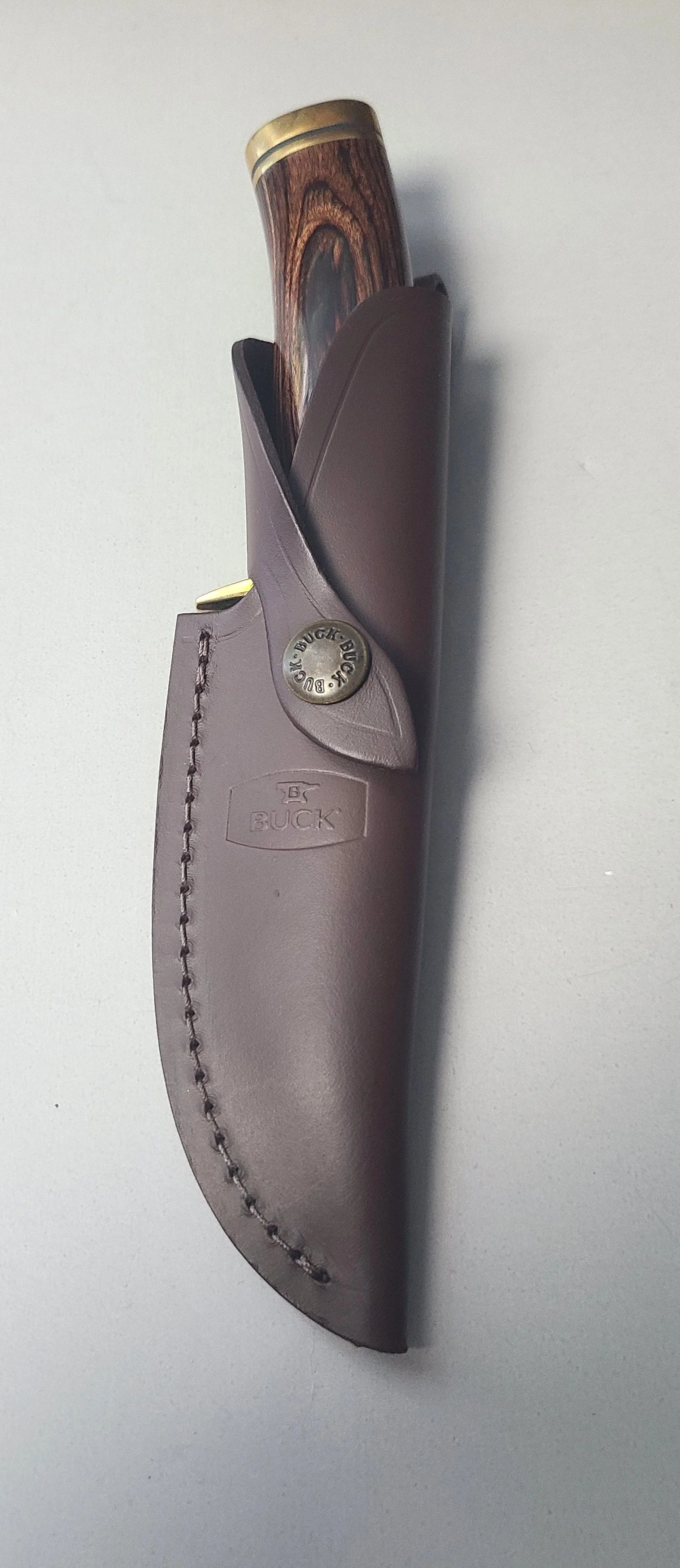 buck1924.jpg
