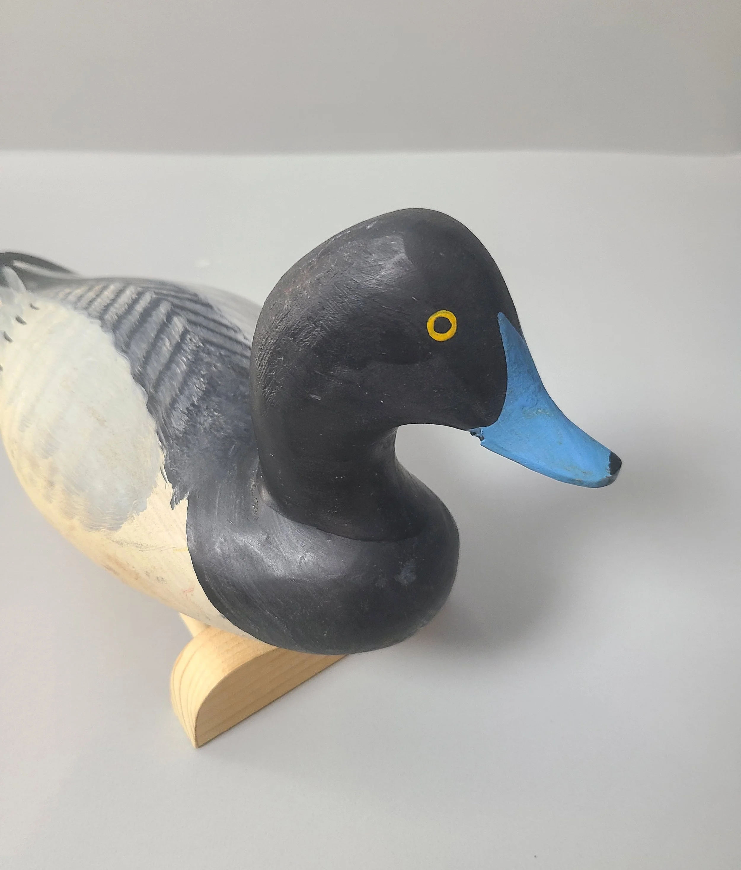 Hjobesbluebill5.jpg