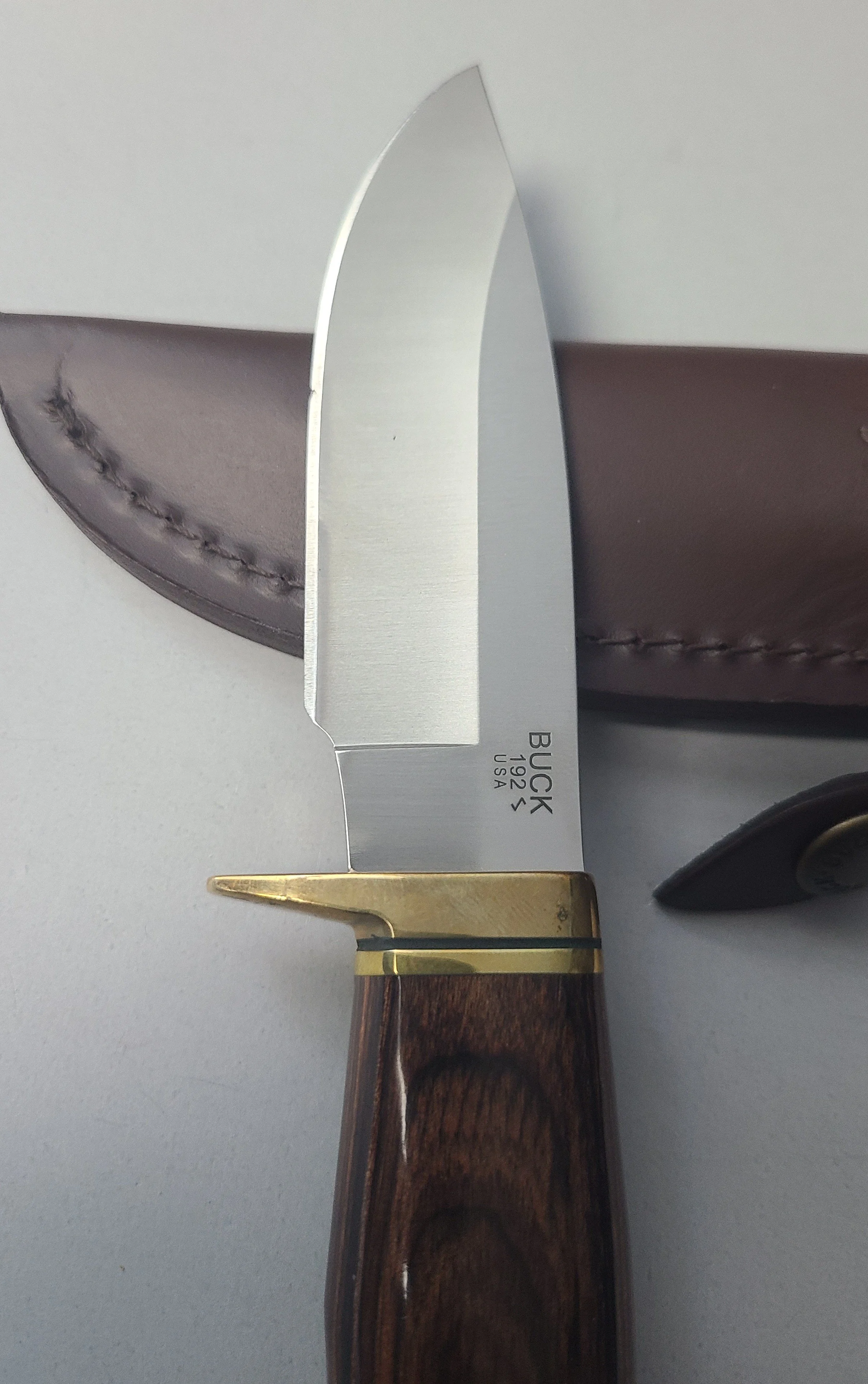 buck1923.jpg