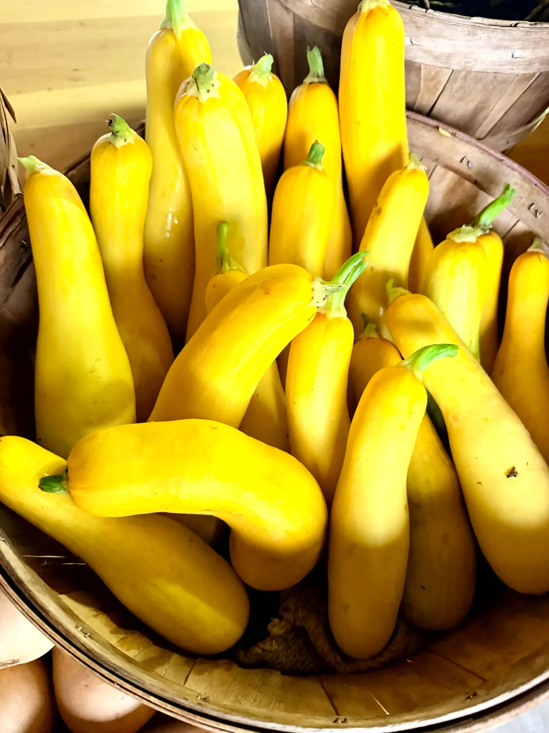 A collection of yellow squash in a round wooden basket.